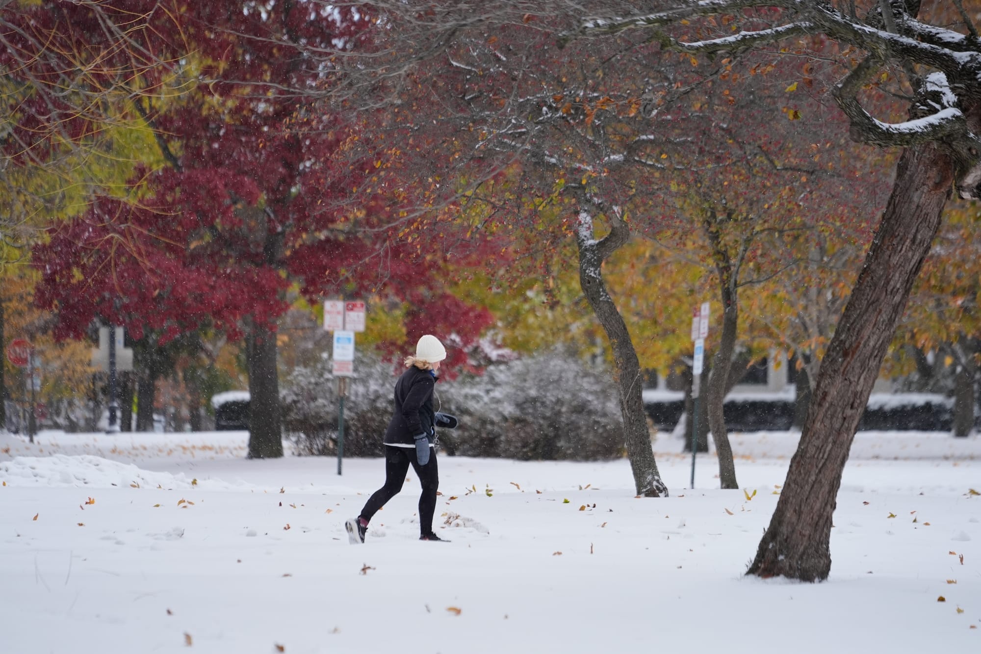 Snow