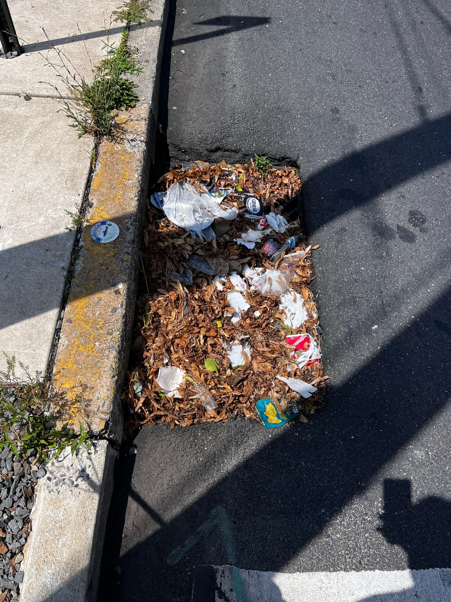 More than 50 bags of trash were collected from Allentown's streets Saturday as part of the Community and The Arts Clean Up.