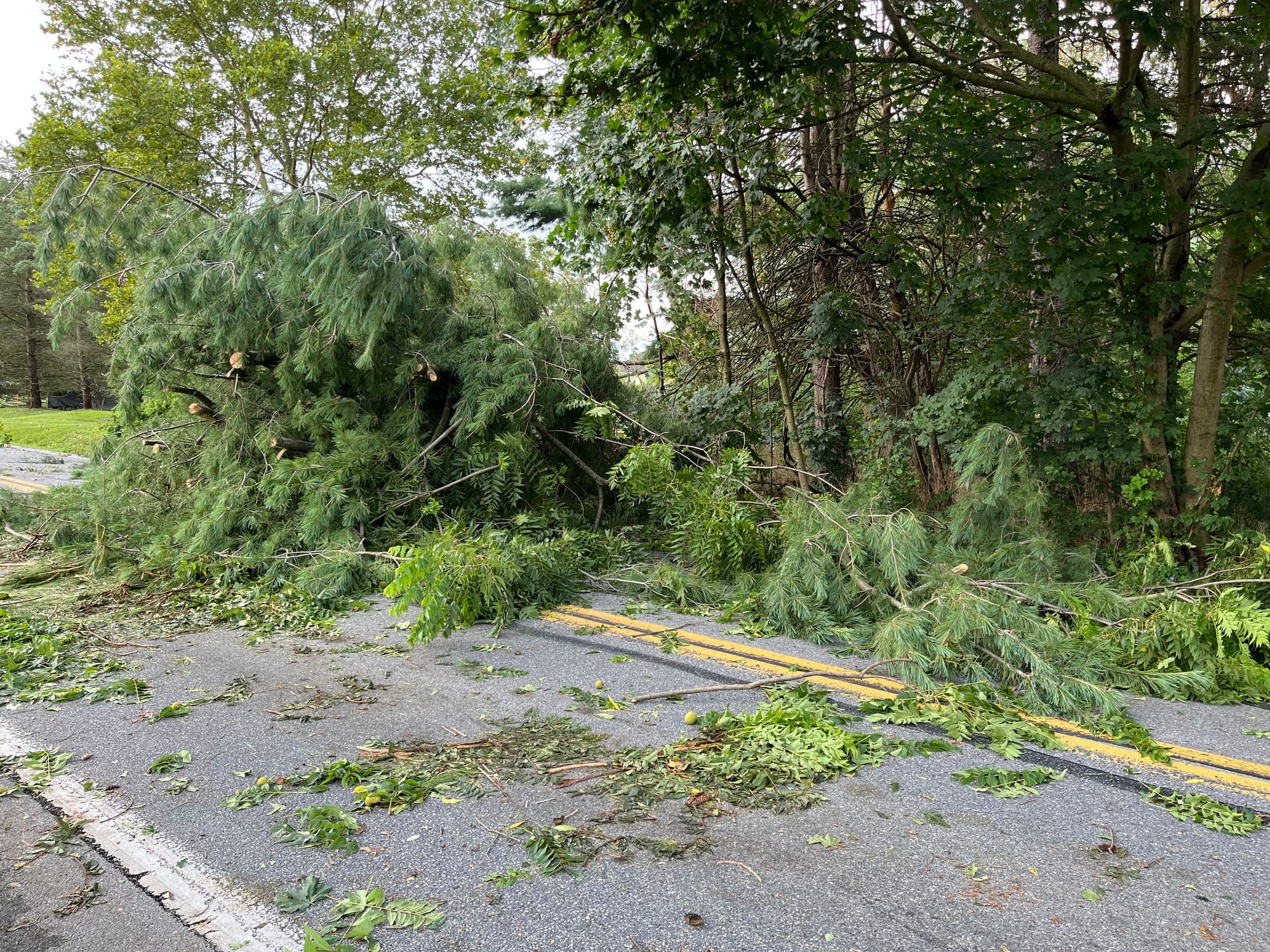 Lanark Road between Hopewell and Blue Church roads in Center Valley closed Tuesday morning due to downed trees.