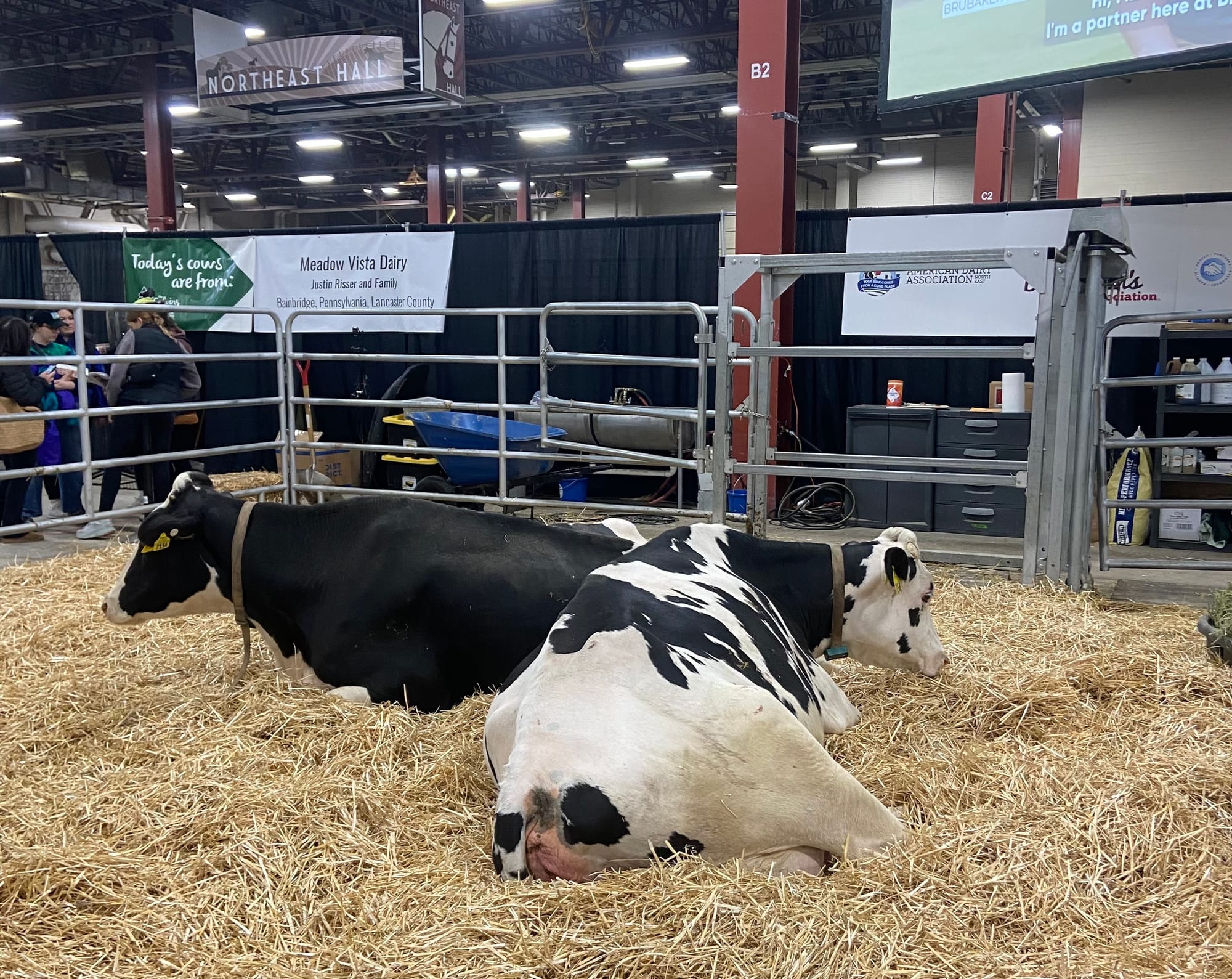 The 109th PA Farm Show opened Friday. Billed as the largest indoor agricultural event in the world, it includes 24 acres of a