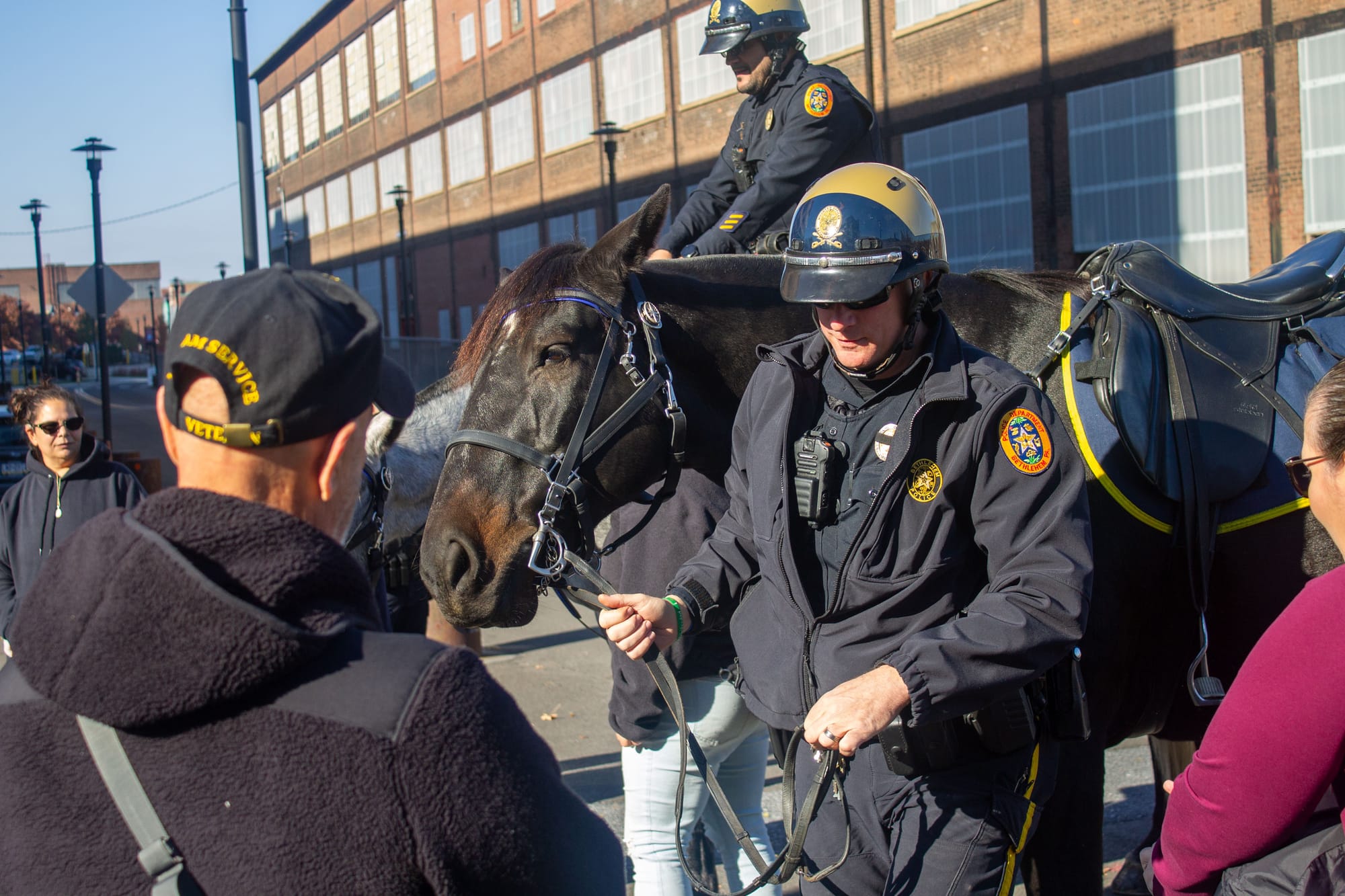 Guests greet two police horses
