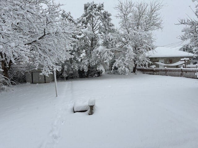 Snow blankets a backyard in Lehighton early Tuesday morning.