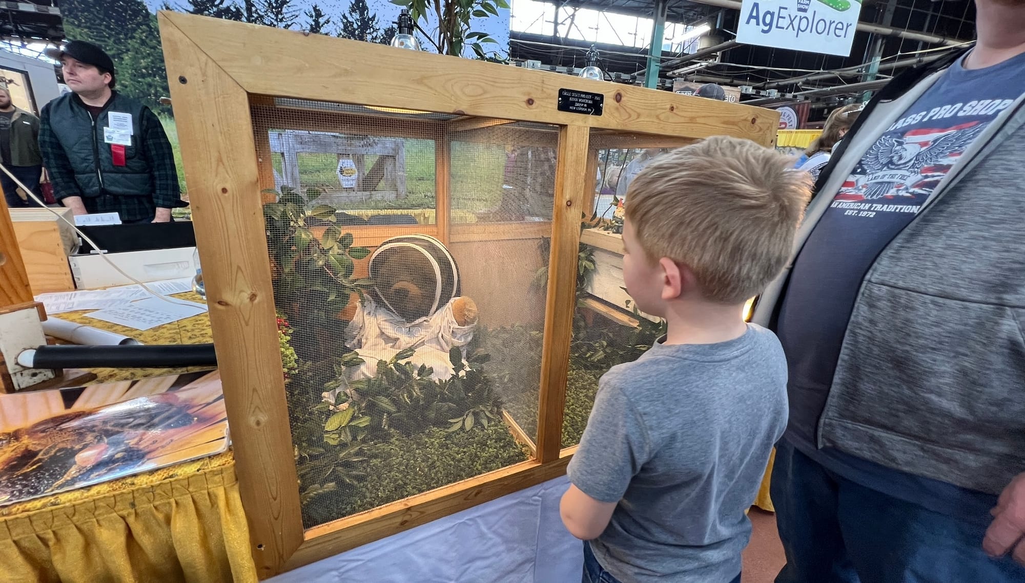 Small child looks at bees at the 2023 Pennsylvania Farm Show.