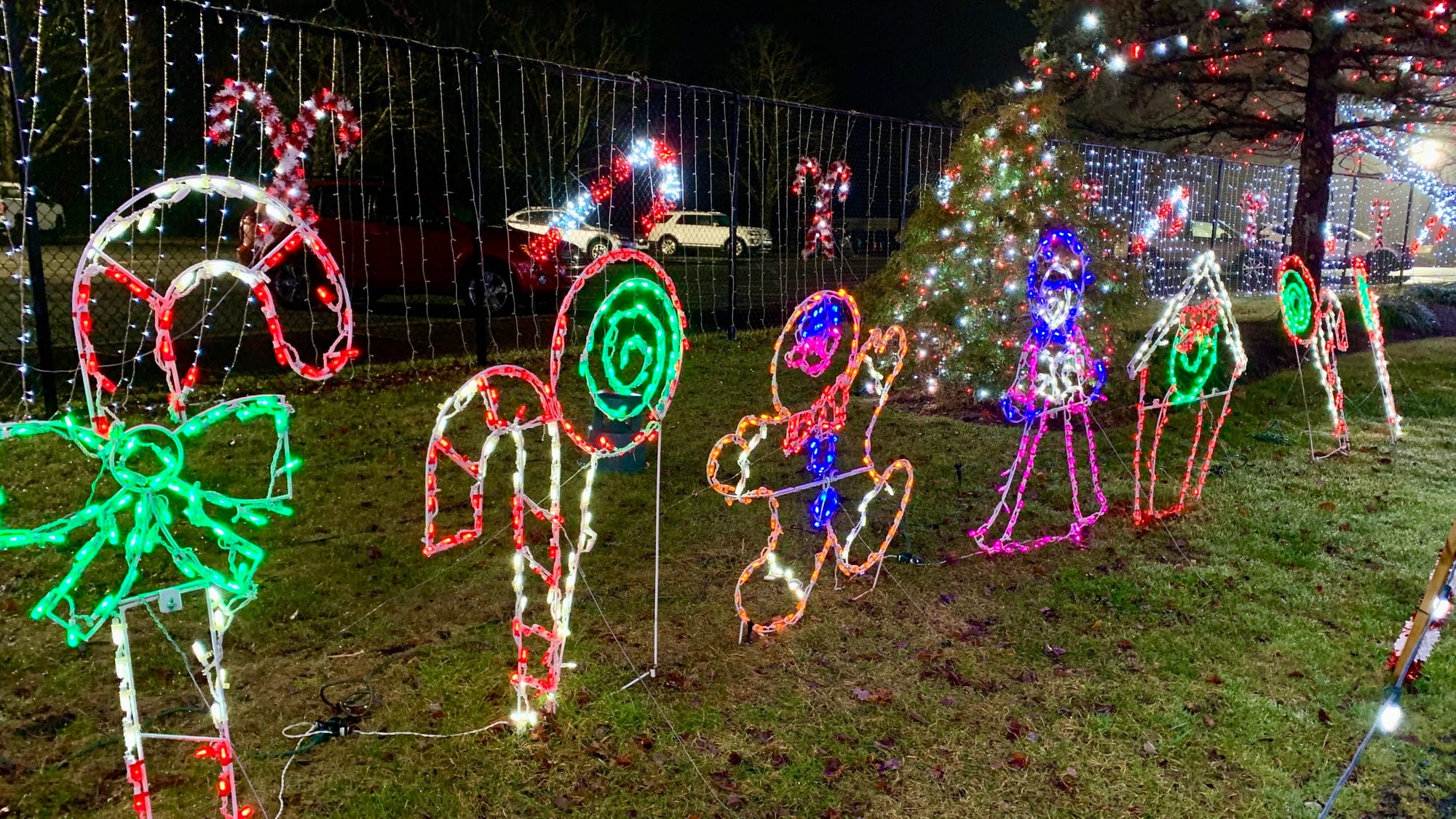 Lights at the Winter Light Spectacular.