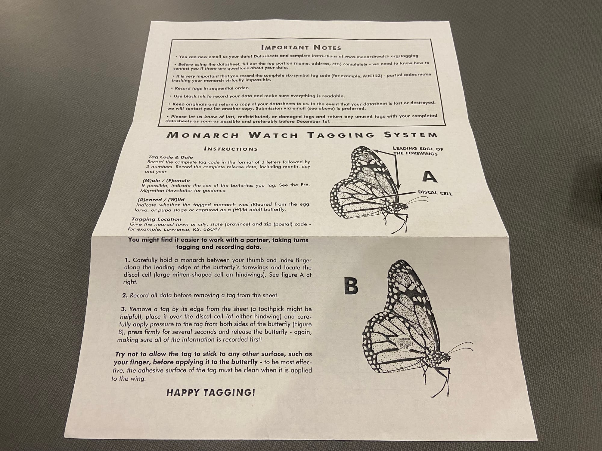 Officials at Jacobsburg Environmental Education Center on Wednesday held their annual "Monarch Madness" event for adults. Vol