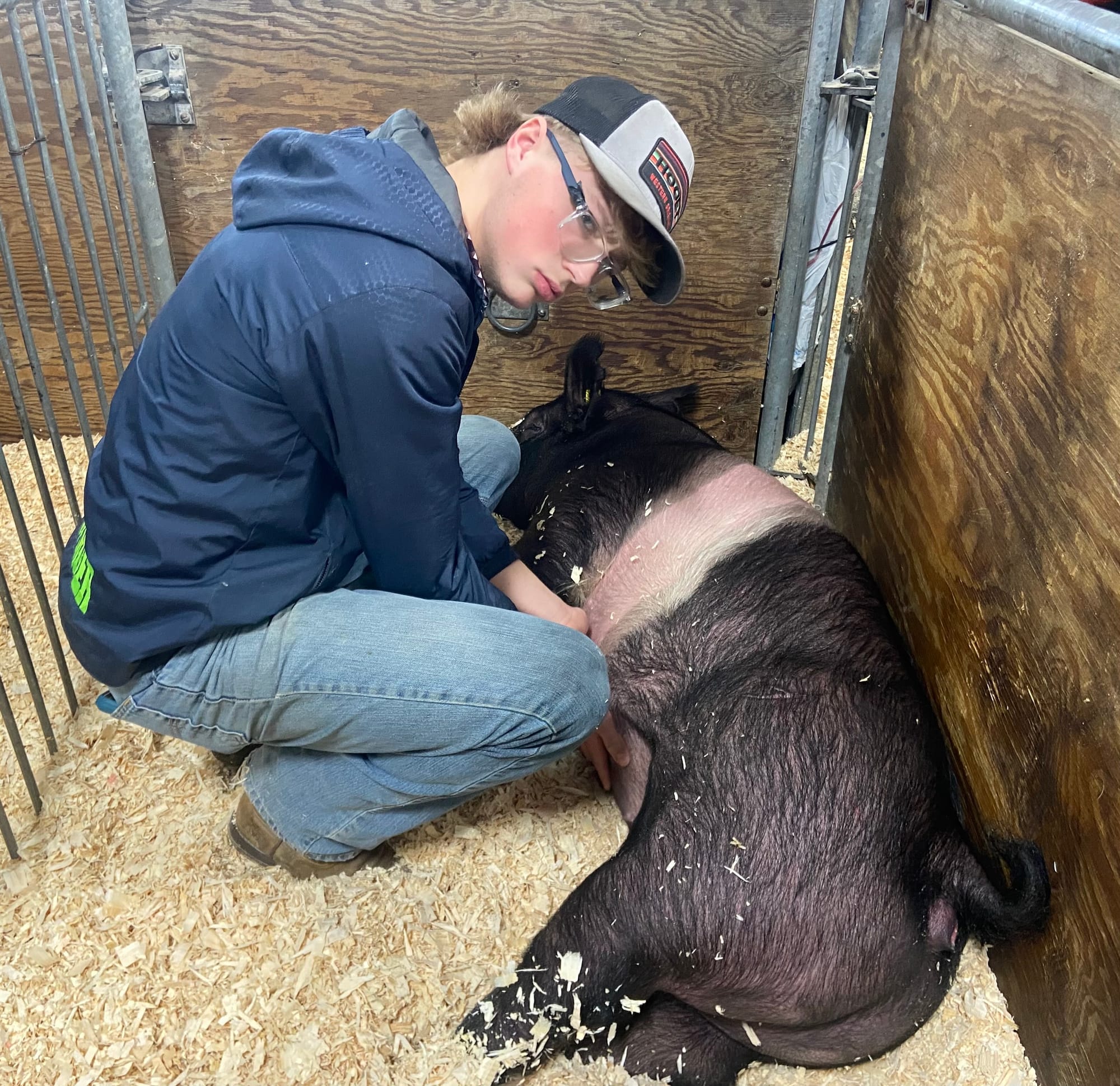 Sam Lazarus, 16, of Schnecksville,took 3rd place in swine with his pig, Gloria, and fifth place in sheep, with his lamb, Kenn