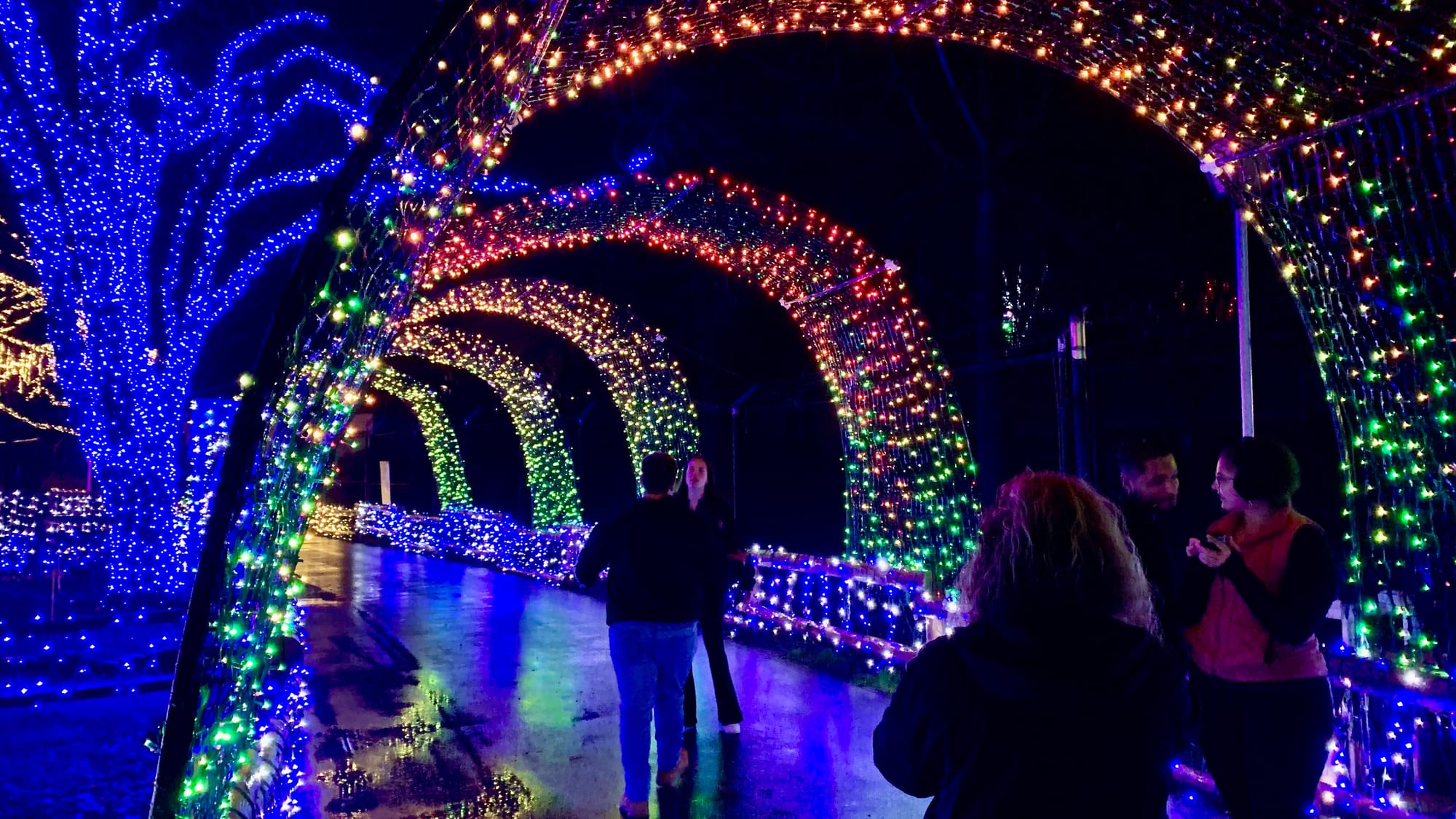 Lights at the Winter Light Spectacular.