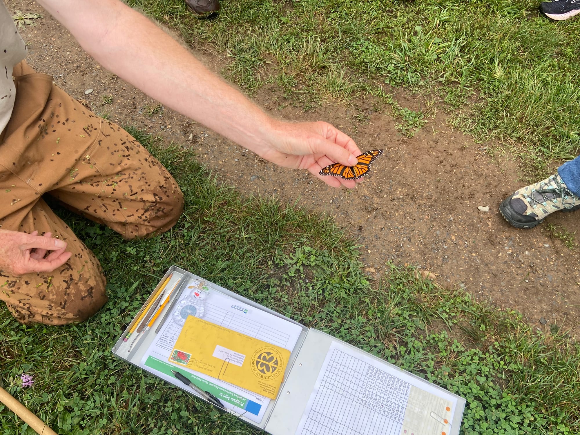 Officials at Jacobsburg Environmental Education Center on Wednesday held their annual "Monarch Madness" event for adults. Vol