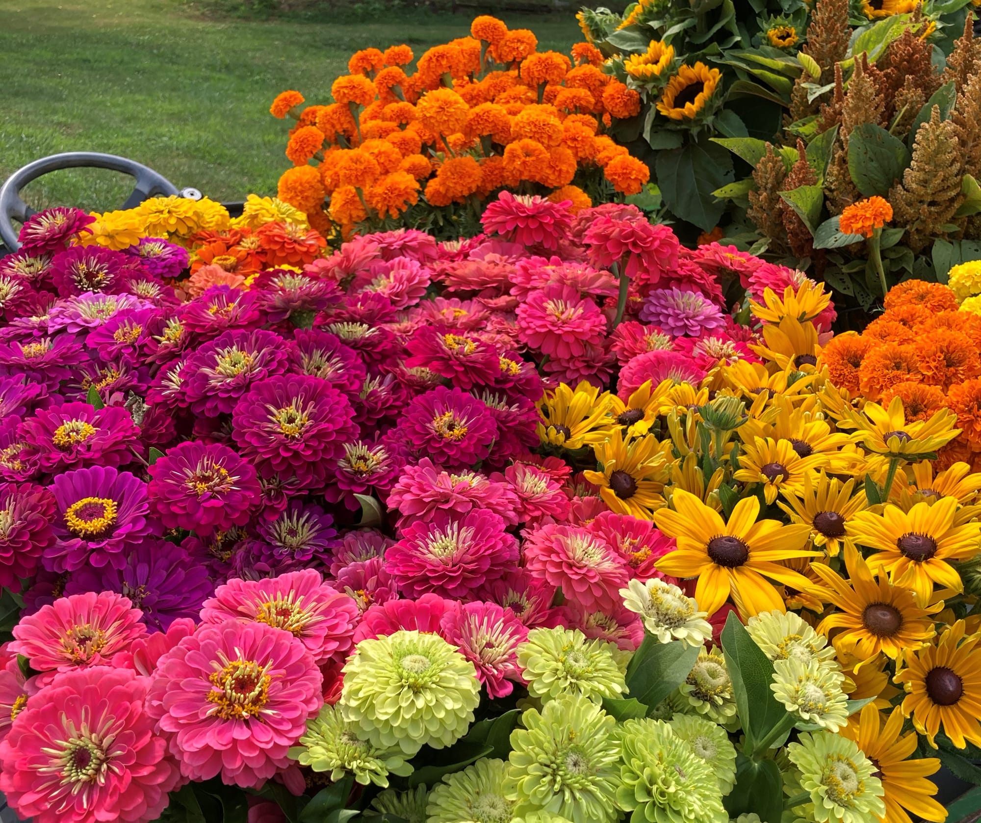 Flowers from Bee Well Blooms in Upper Saucon Township