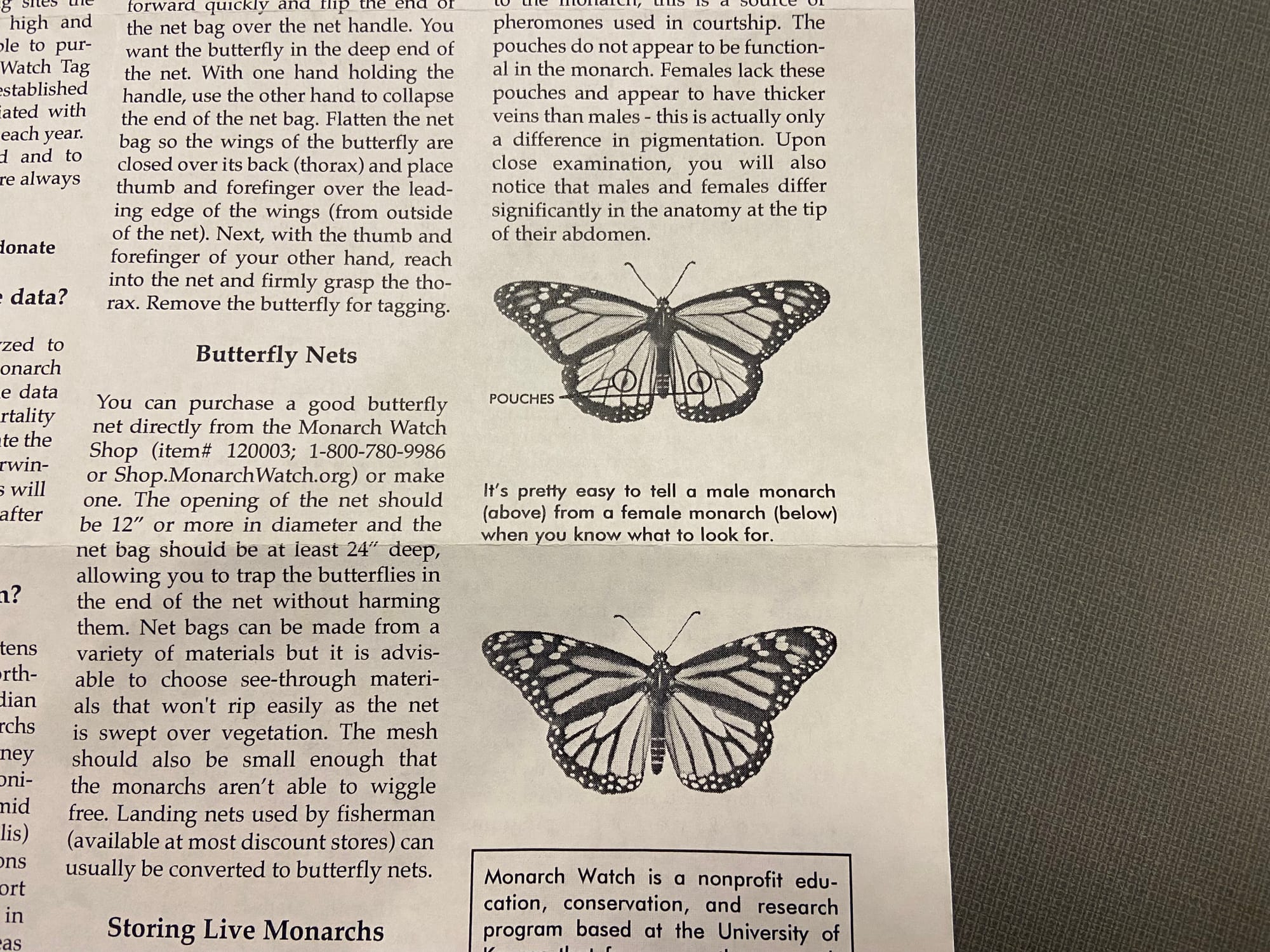 Officials at Jacobsburg Environmental Education Center on Wednesday held their annual "Monarch Madness" event for adults. Vol