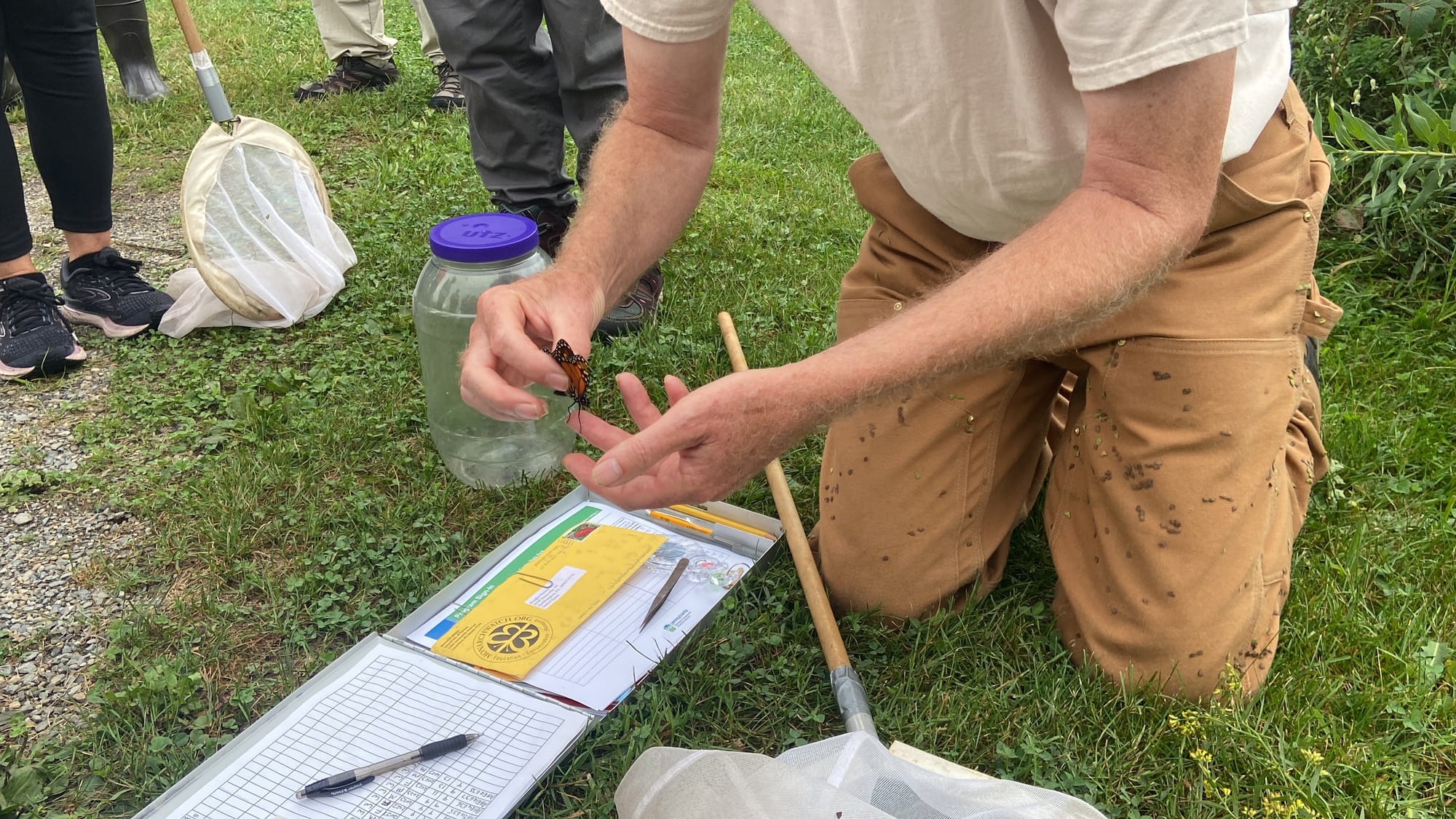 Officials at Jacobsburg Environmental Education Center on Wednesday held their annual "Monarch Madness" event for adults. Vol