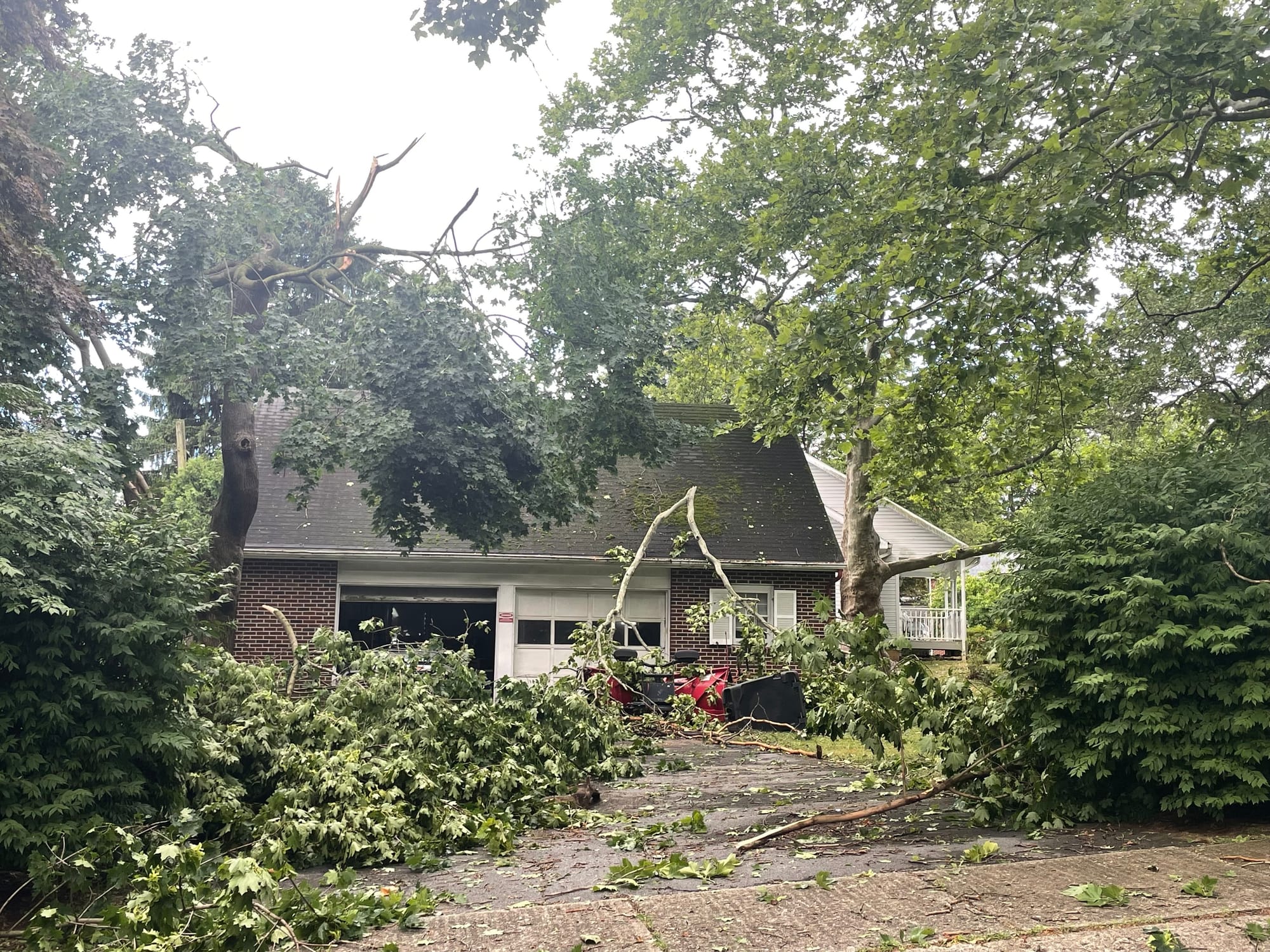 Trees litter a property at Beverly and Homestead Avenues in Bethlehem following Wednesday's storm.