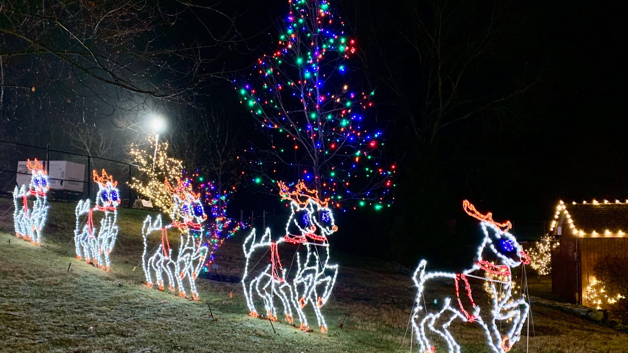 Reindeer lights at the Winter Light Spectacular.