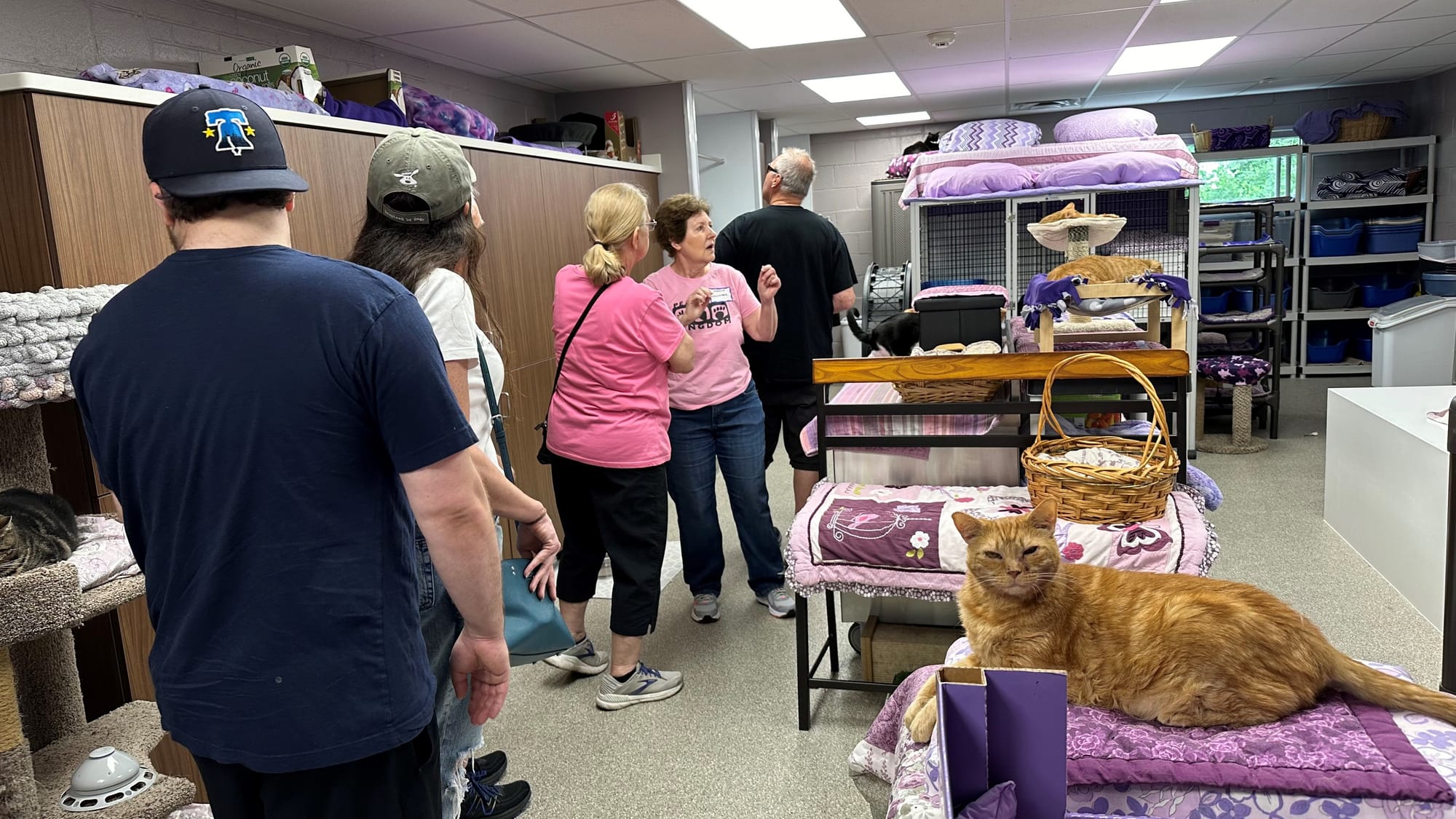 Visitors tour Peaceable Kingdom's cat room.