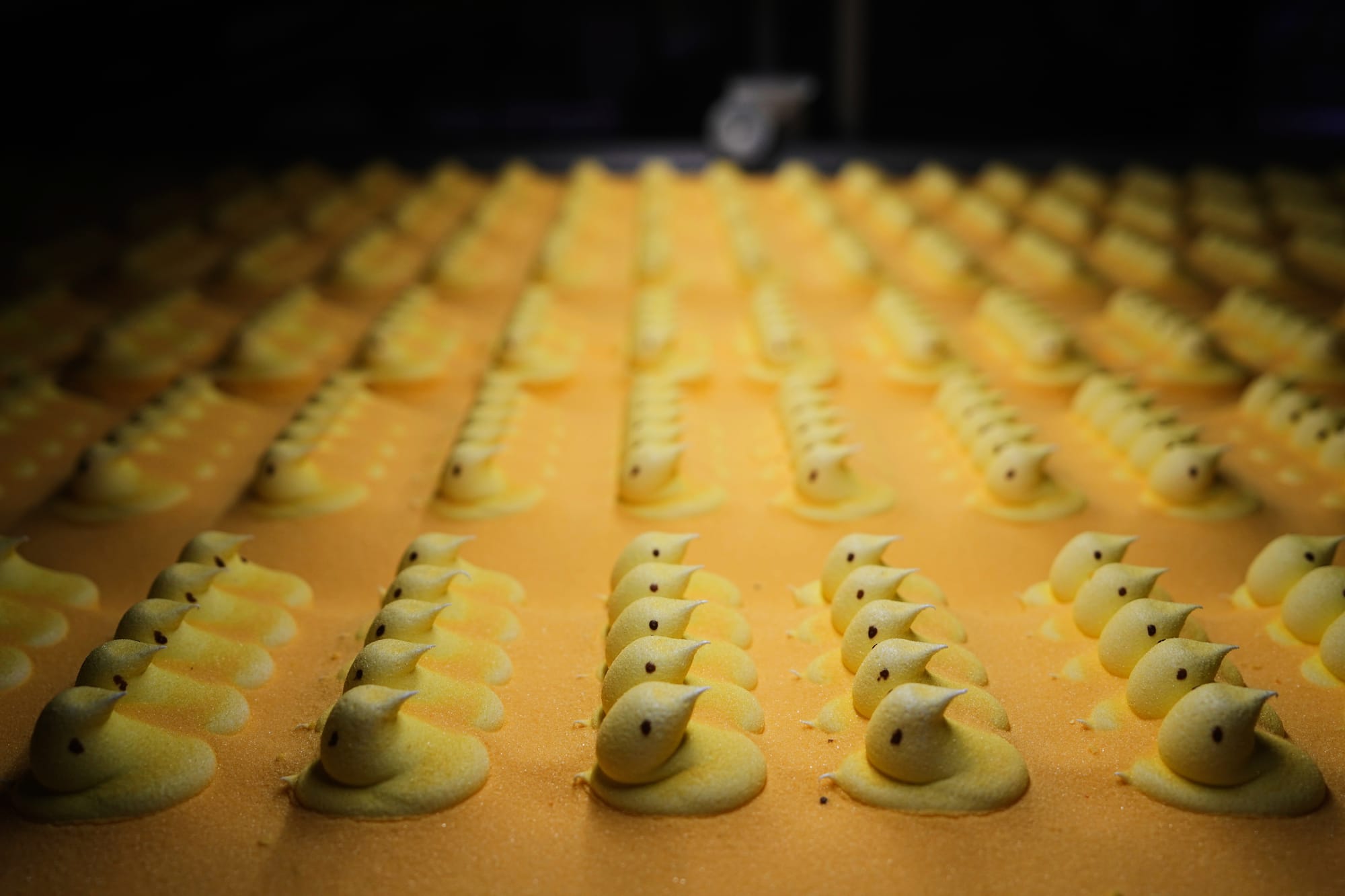 Peeps marshmallow treats move through the manufacturing process at the Just Born factory in Bethlehem, Pa., Thursday, April 1