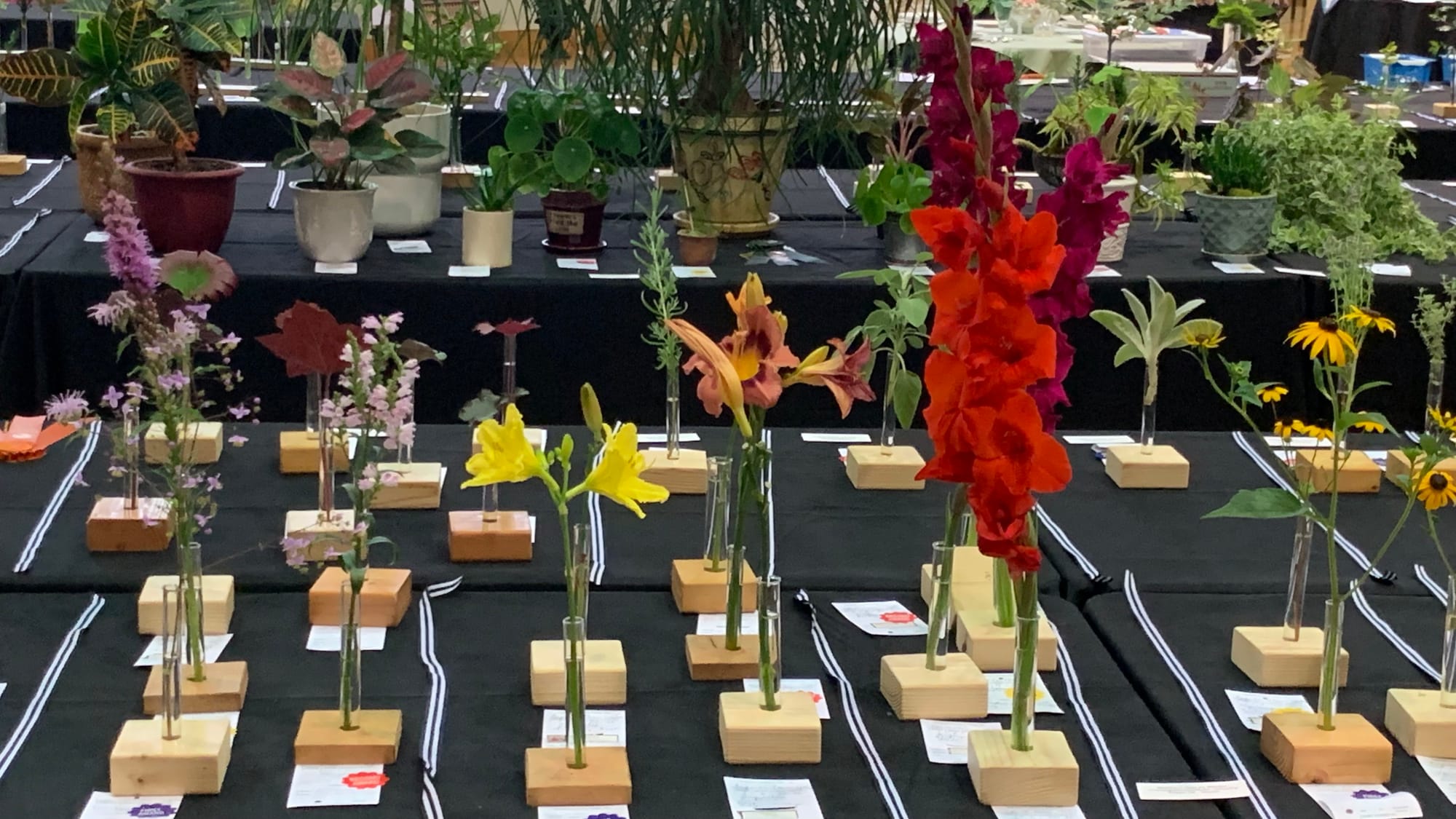 A table at the Bethlehem Flower Show