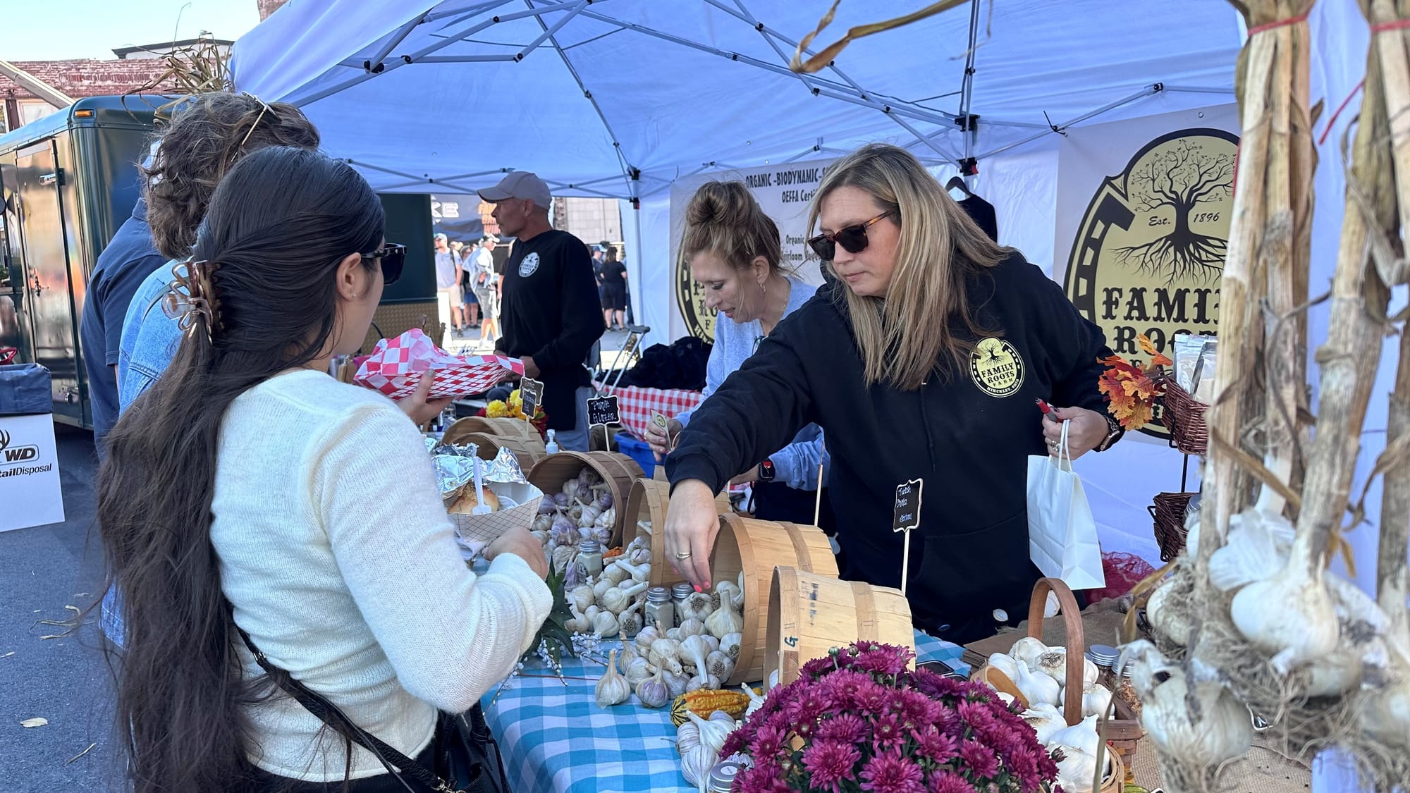 Family Roots Farm had nine varieties of garlic to choose from, keeping their staff busy throughout Easton Garlic Fest on Satu