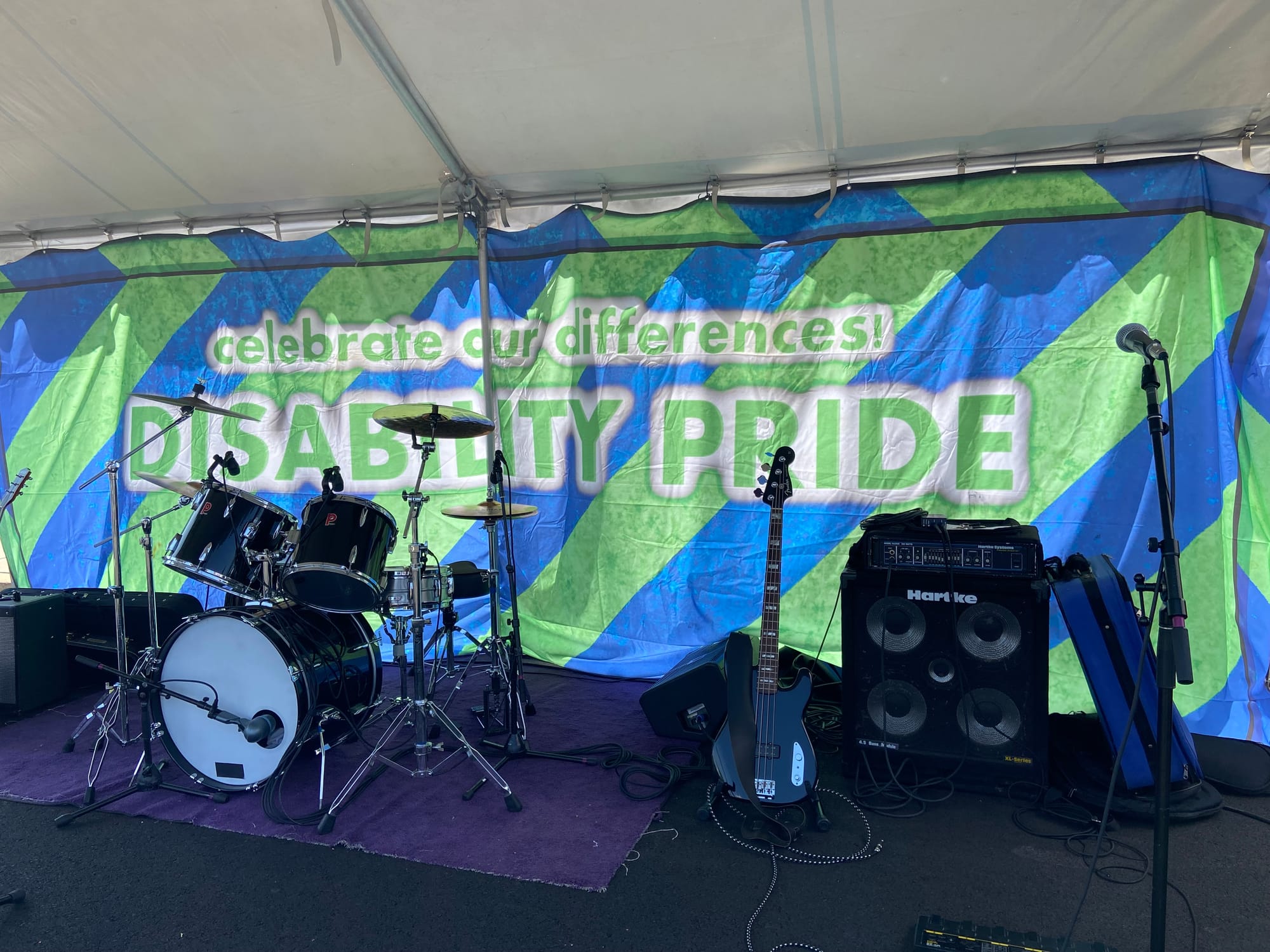 The Lehigh Valley's first Disability Pride Lehigh Valley festival was held Saturday at a Penn State — Lehigh Valley campus. T