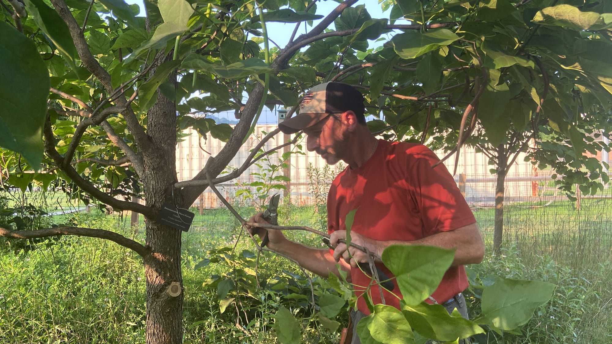 Rob Christopher, Easton's conservation manager, held a class Wednesday evening at the city's microforest about the basics of 