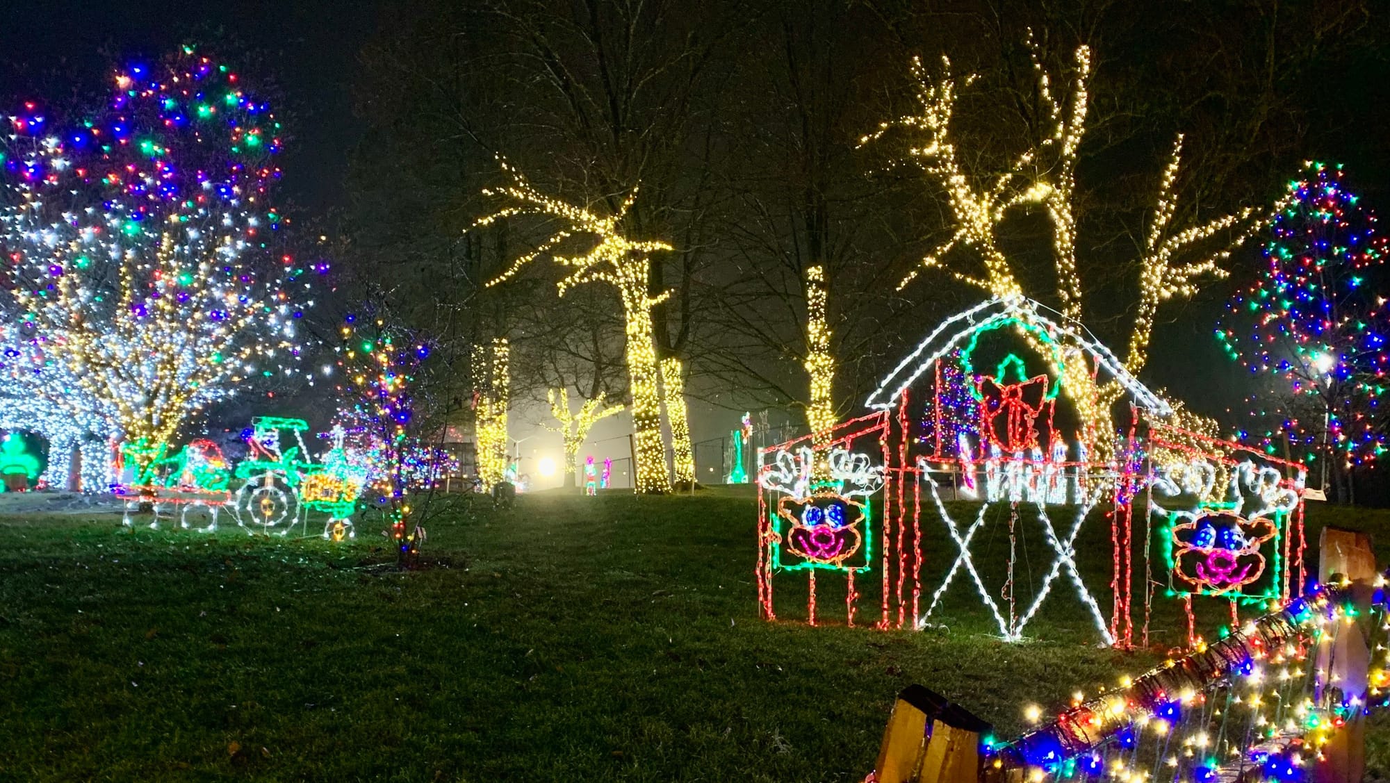 Lights at the Winter Light Spectacular.