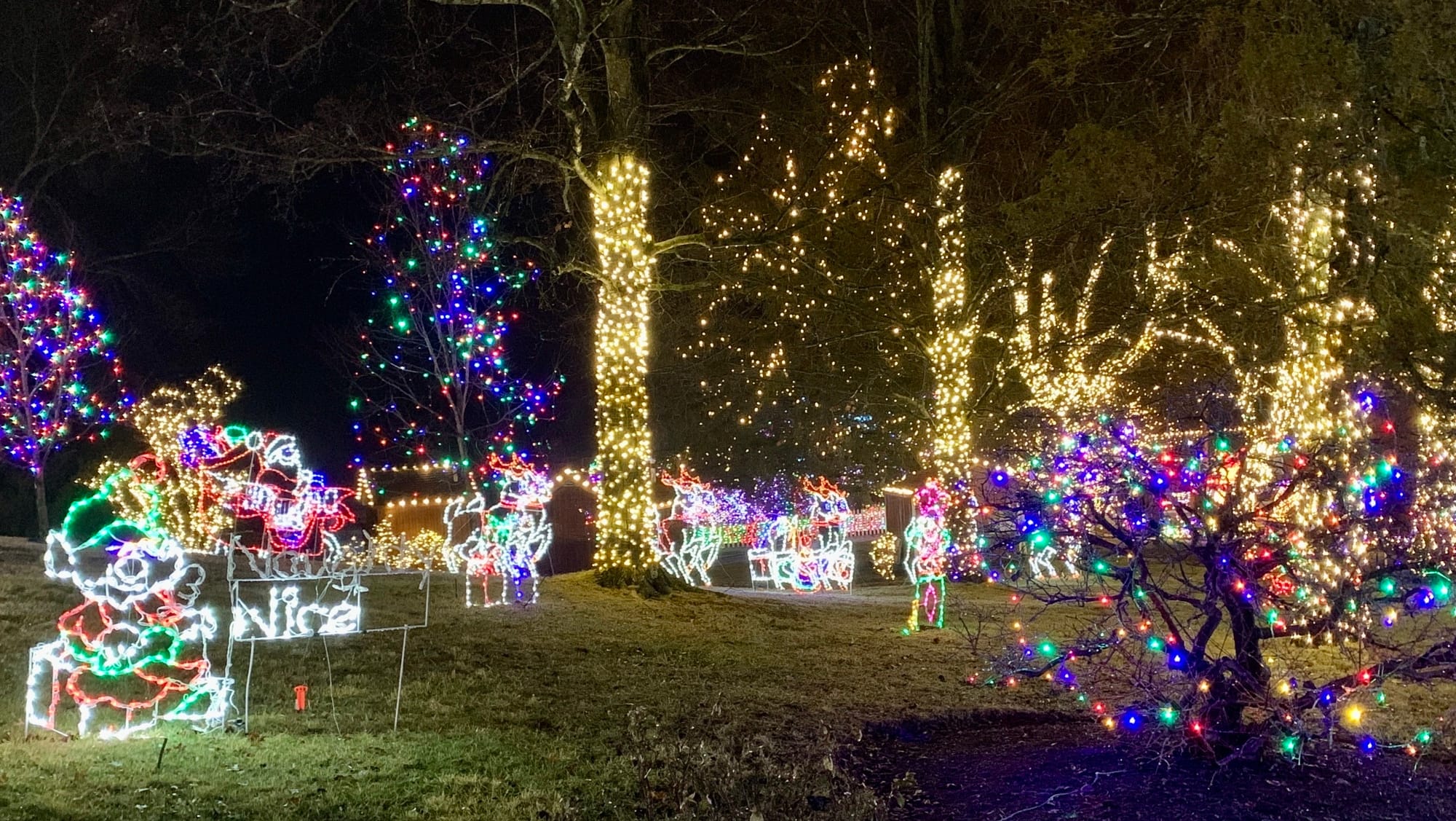 Lights at the Winter Light Spectacular.