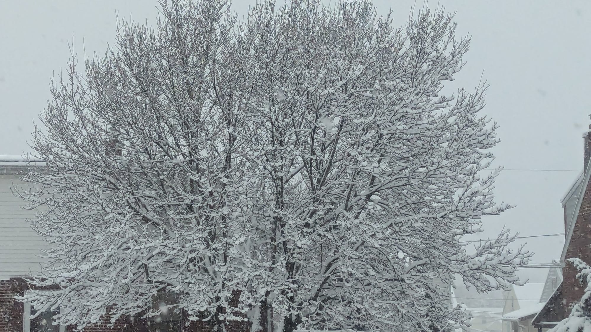 Heavy snow blankets the Allentown area early Tuesday morning, Feb. 13, 2024.