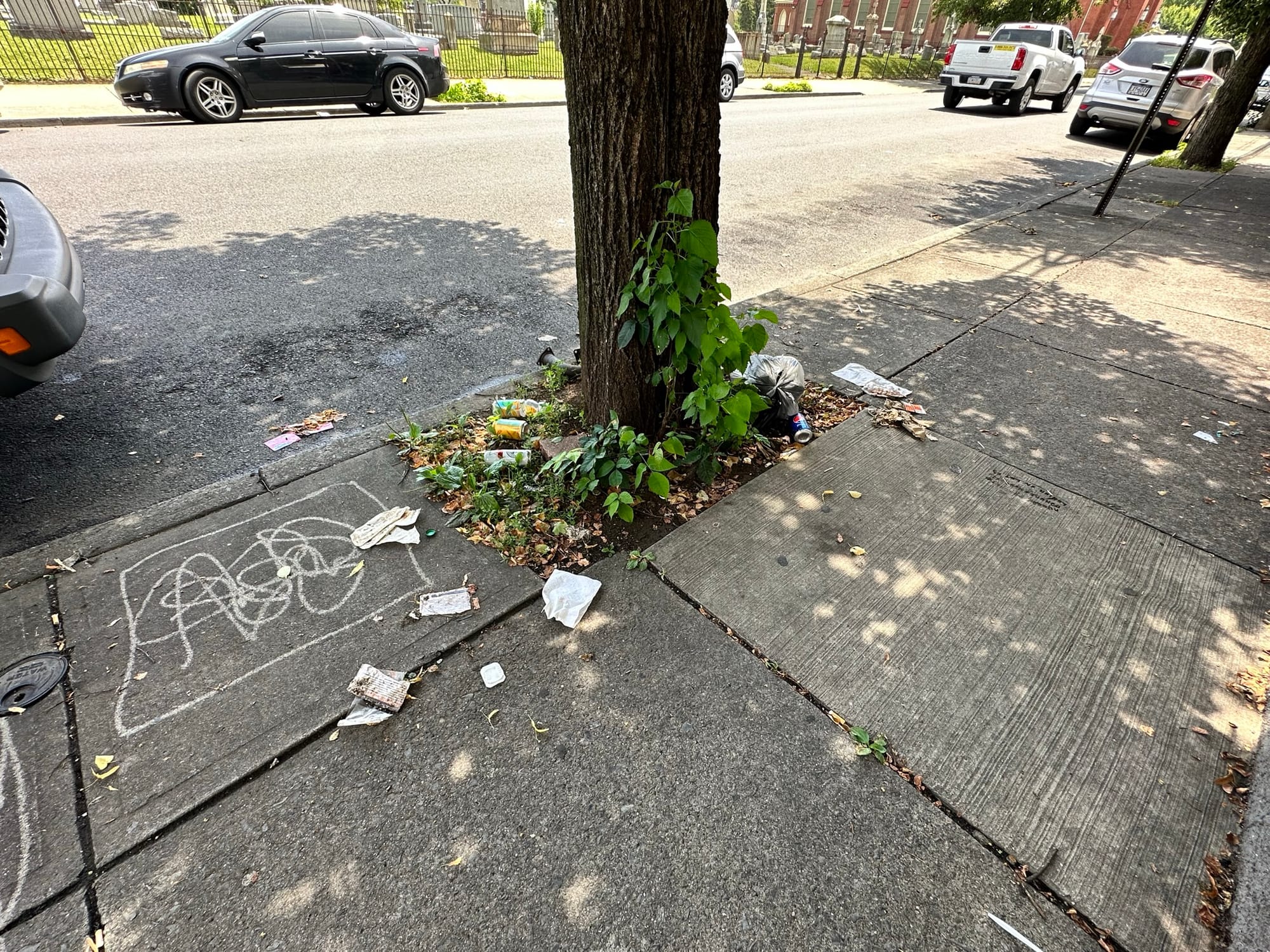 More than 50 bags of trash were collected from Allentown's streets Saturday as part of the Community and The Arts Clean Up.