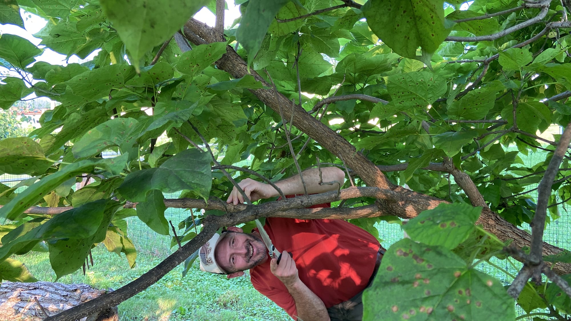 Rob Christopher, Easton's conservation manager, held a class Wednesday evening at the city's microforest about the basics of 