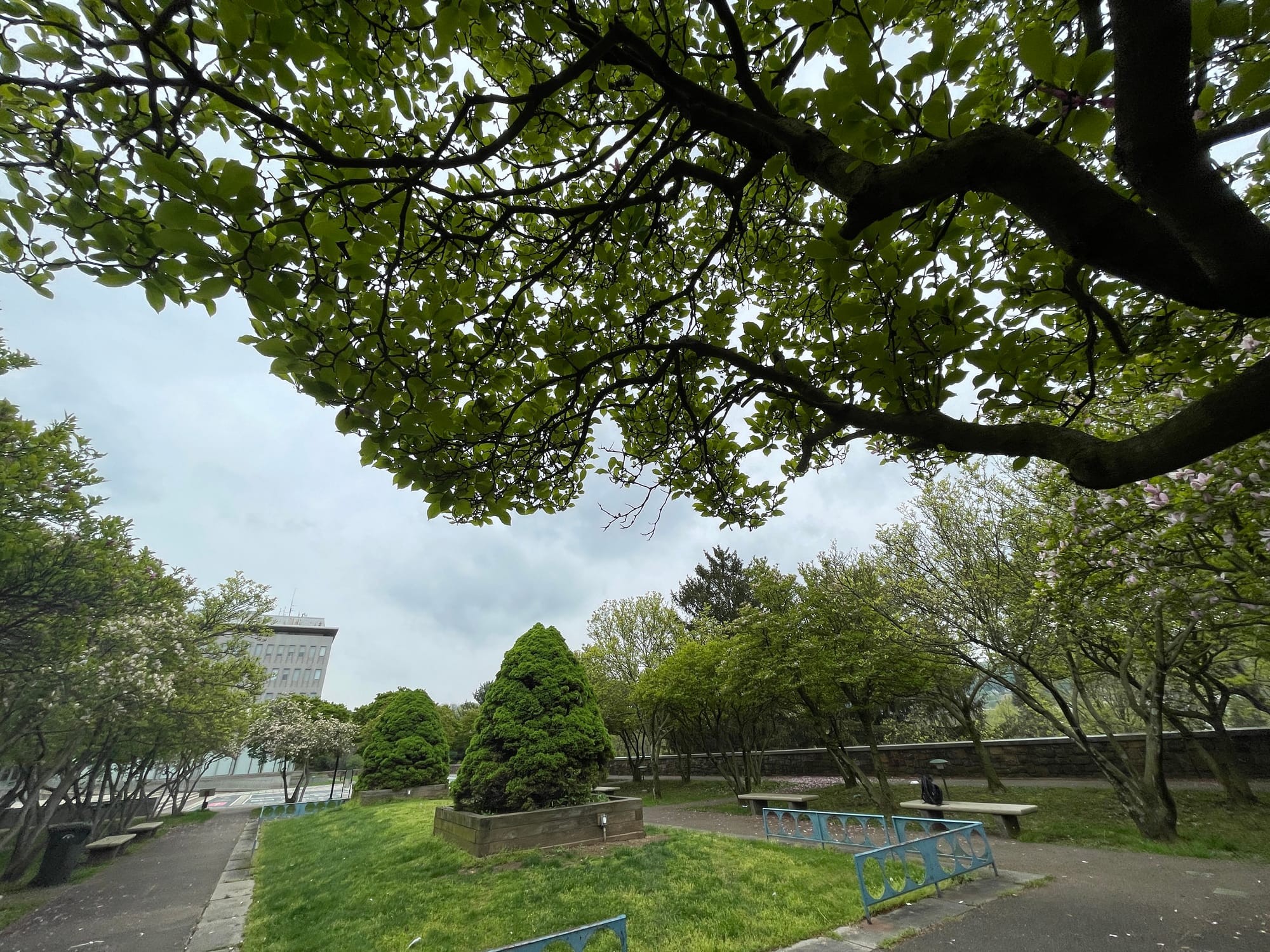 Playrow Plaza outside the Bethlehem Area Public Library, Arbor Day 2023