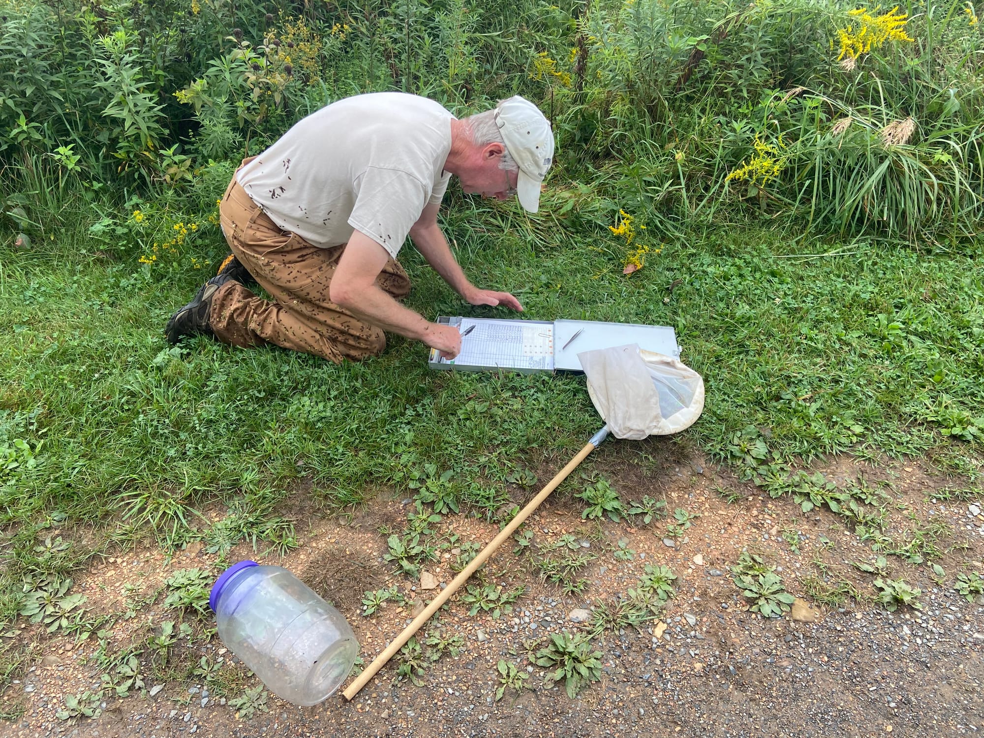 Officials at Jacobsburg Environmental Education Center on Wednesday held their annual "Monarch Madness" event for adults. Vol
