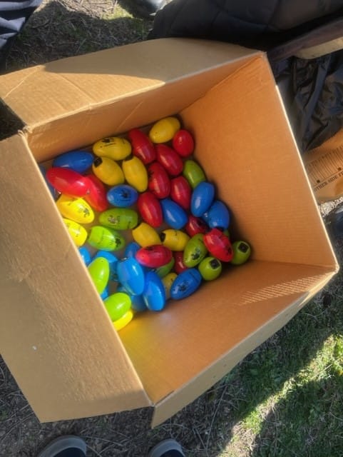 Beeping alectronic eggs make it easier for the visually impaired to find them.