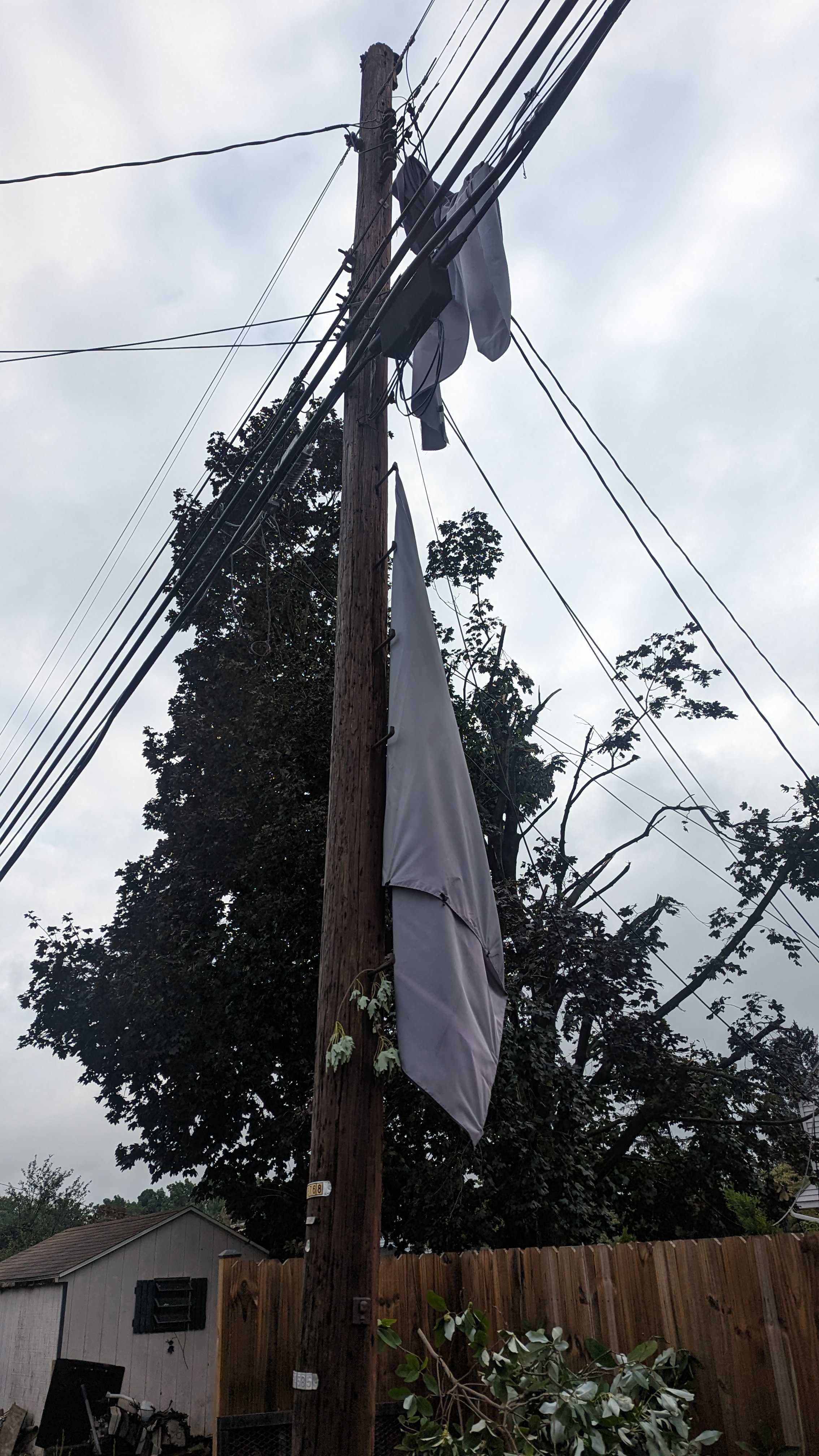 Gazebo cover hanging off utility pole.