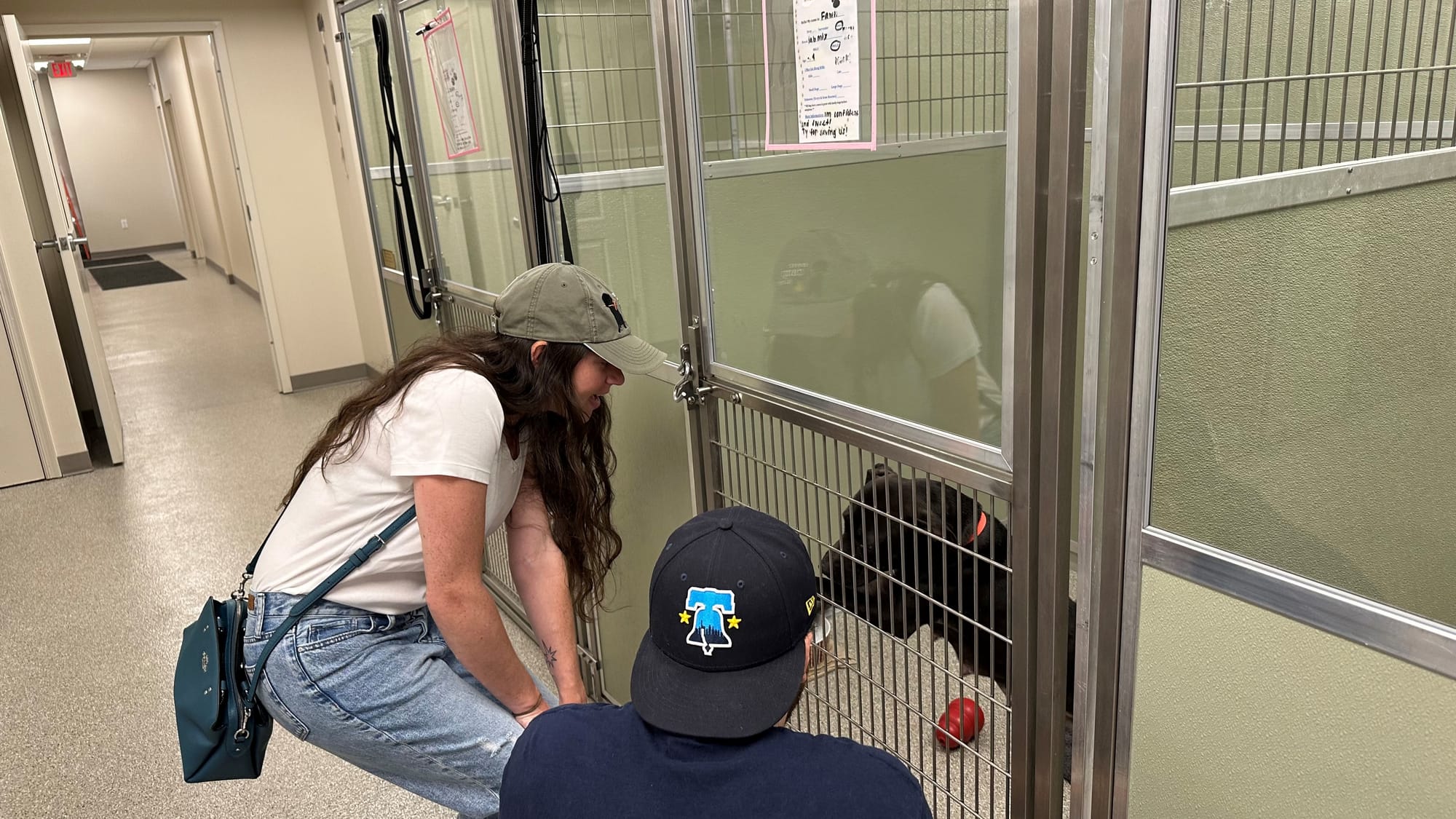 A pup meets with some potential new parents at Peaceable Kingdom.