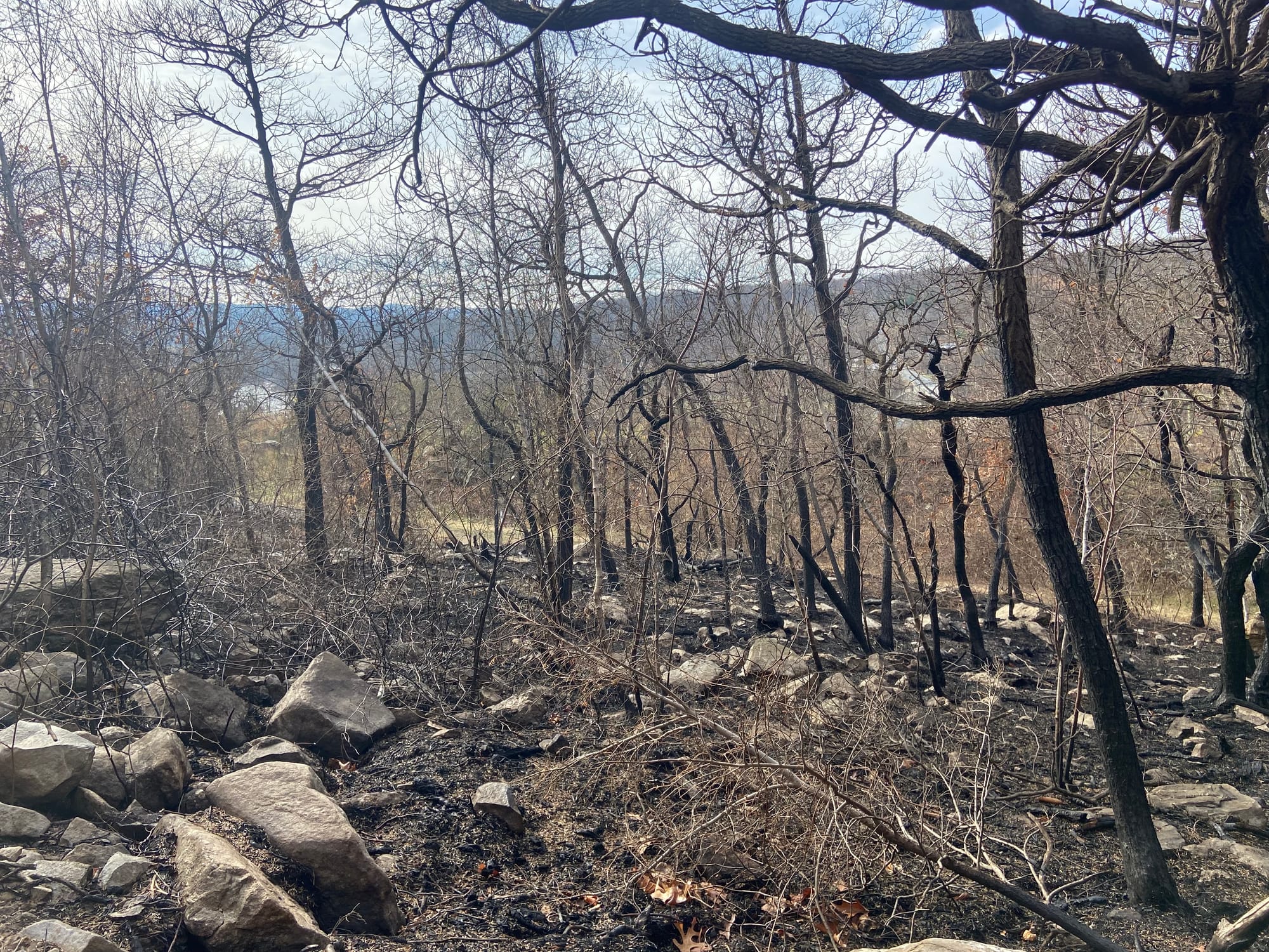 The aftermath of the Blue Mountain Fire. Photo taken Wednesday, Nov. 27, 2024.