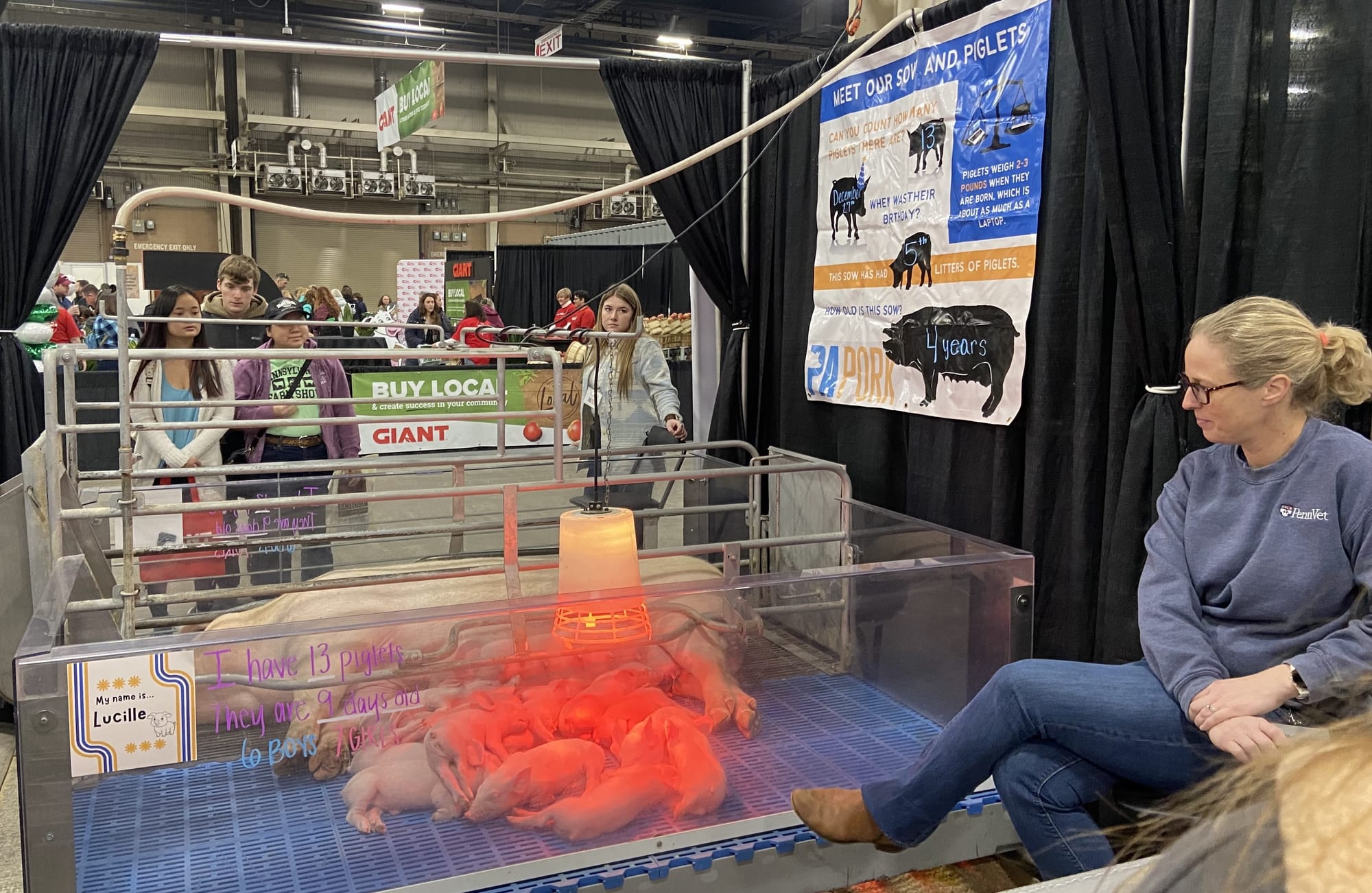 The 109th PA Farm Show opened Friday. Billed as the largest indoor agricultural event in the world, it includes 24 acres of a