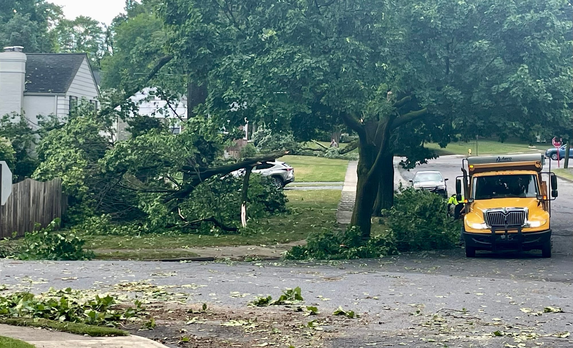 Trees down at Beverly Ave and Homestead Ave in Bethlehem.