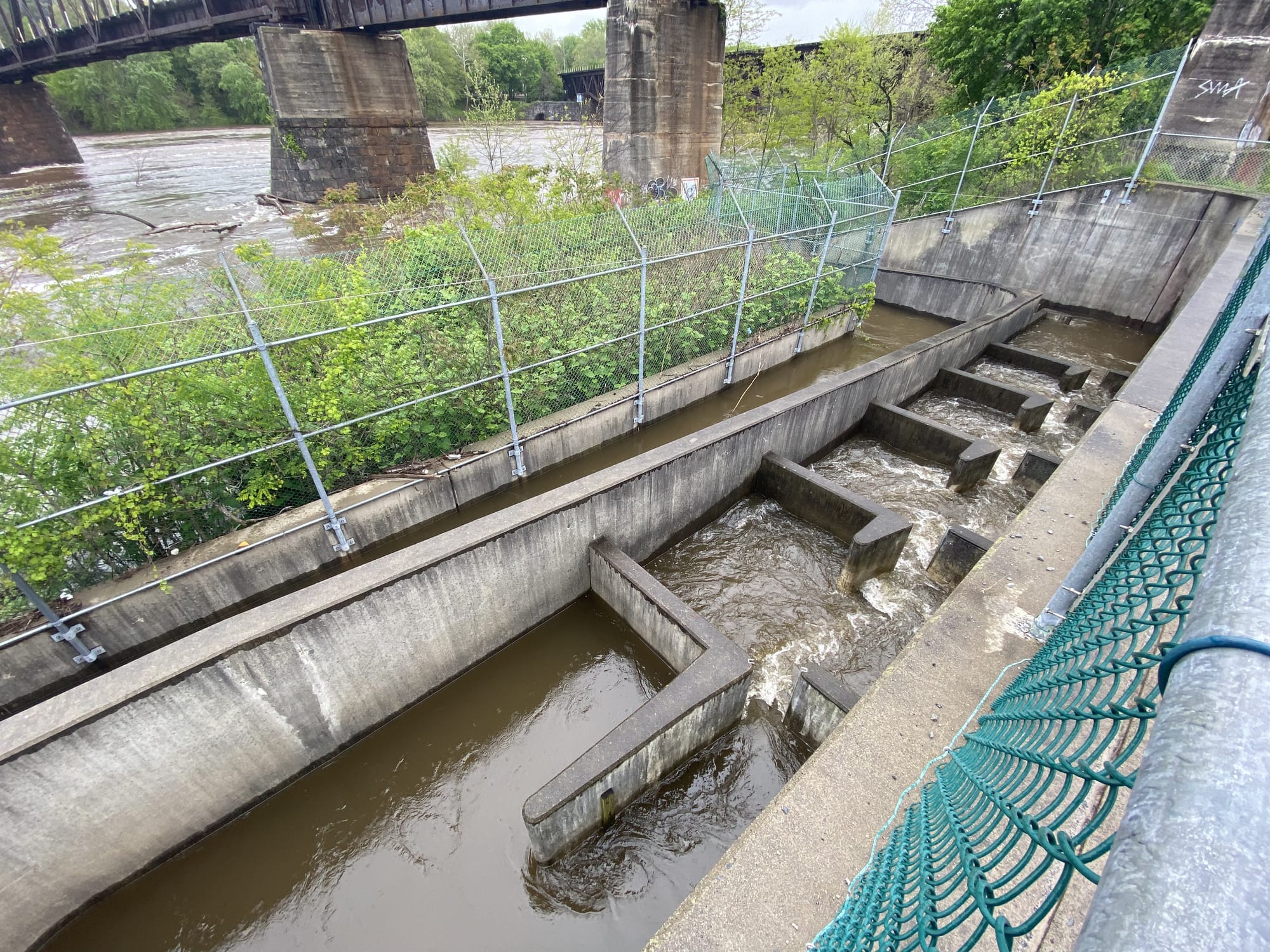 The shad ladder, connected to Easton Dam at Delaware Canal State Park, has fallen into disrepair.