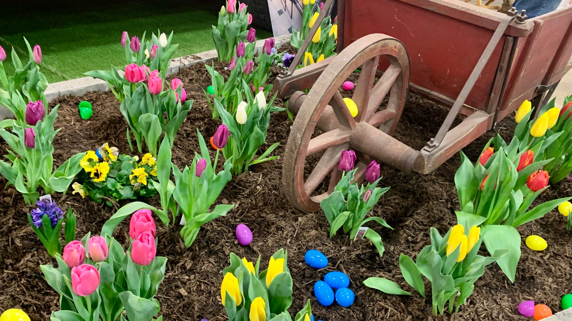 A tulip garden at the 2024 Lehigh Valley Flower & Garden Show.