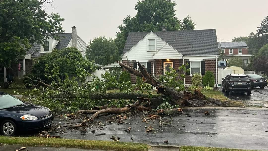 A tree lays on N Ulster Street in Allentown following Wednesday's severe storms.