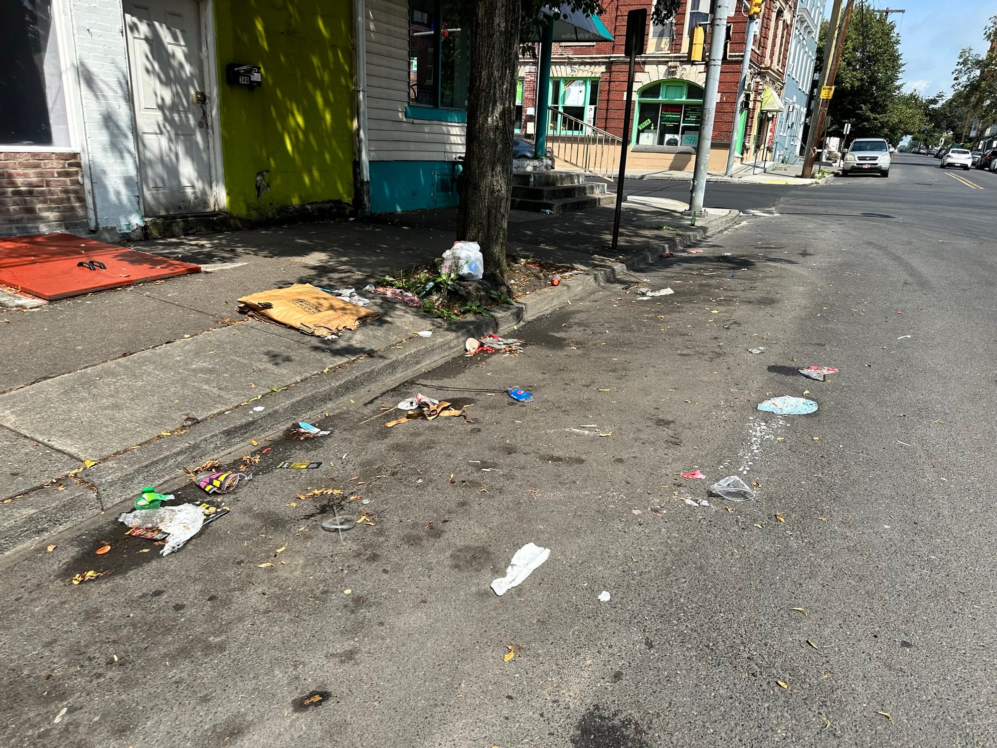 More than 50 bags of trash were collected from Allentown's streets Saturday as part of the Community and The Arts Clean Up.