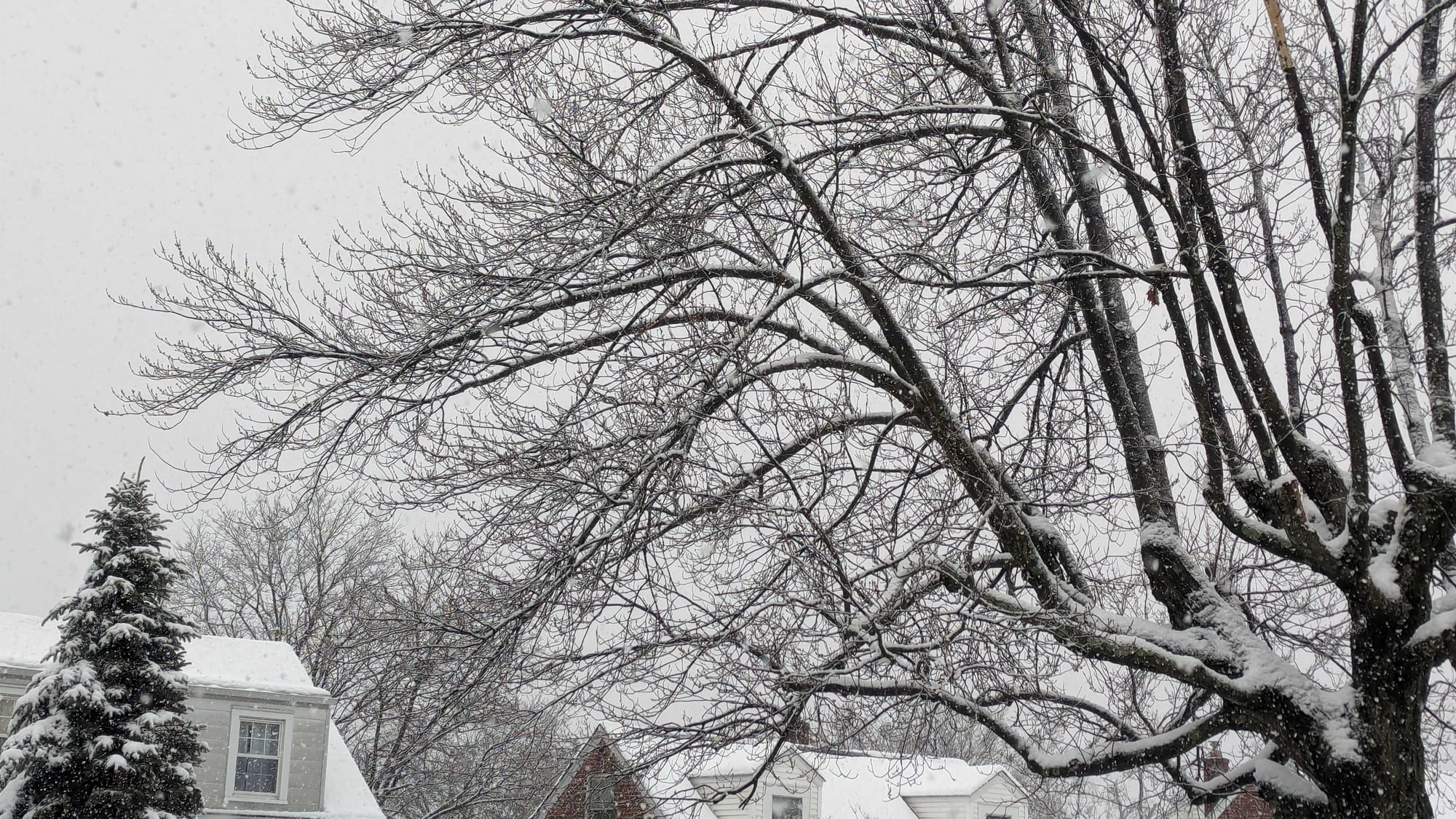 The Midway Manor neighborhood in Allentown received just over 5 inches of snow overnight from Saturday, January 6, 2024 to Su