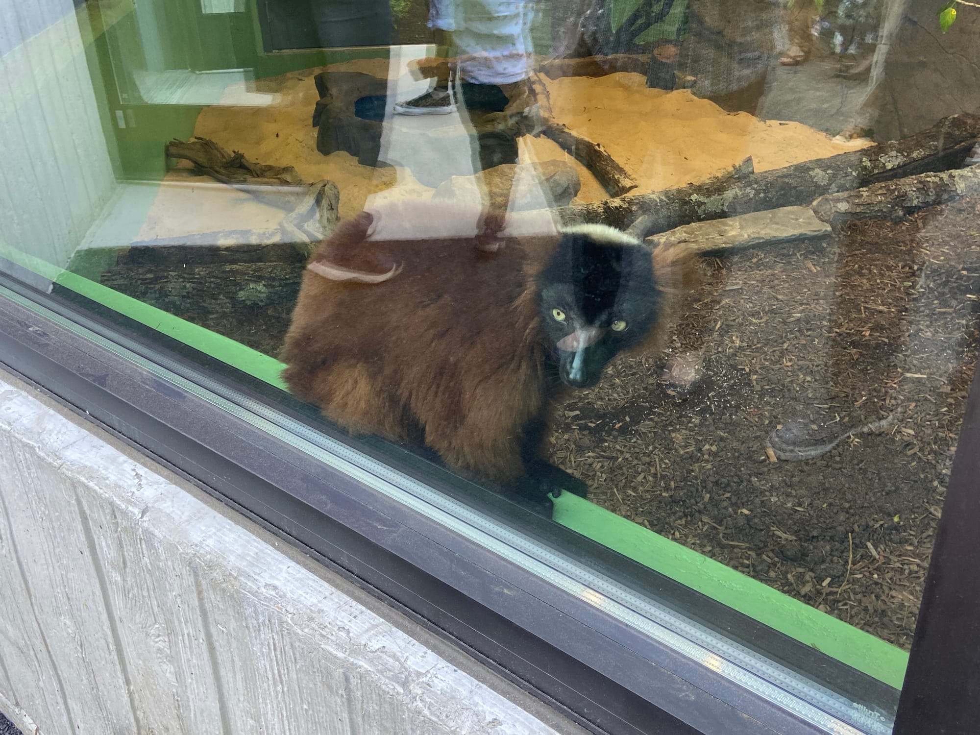Officials gathered at Lehigh Valley Zoo, 5150 Game Preserve Road in Schnecksville, Thursday for a ribbon cutting at the zoo's