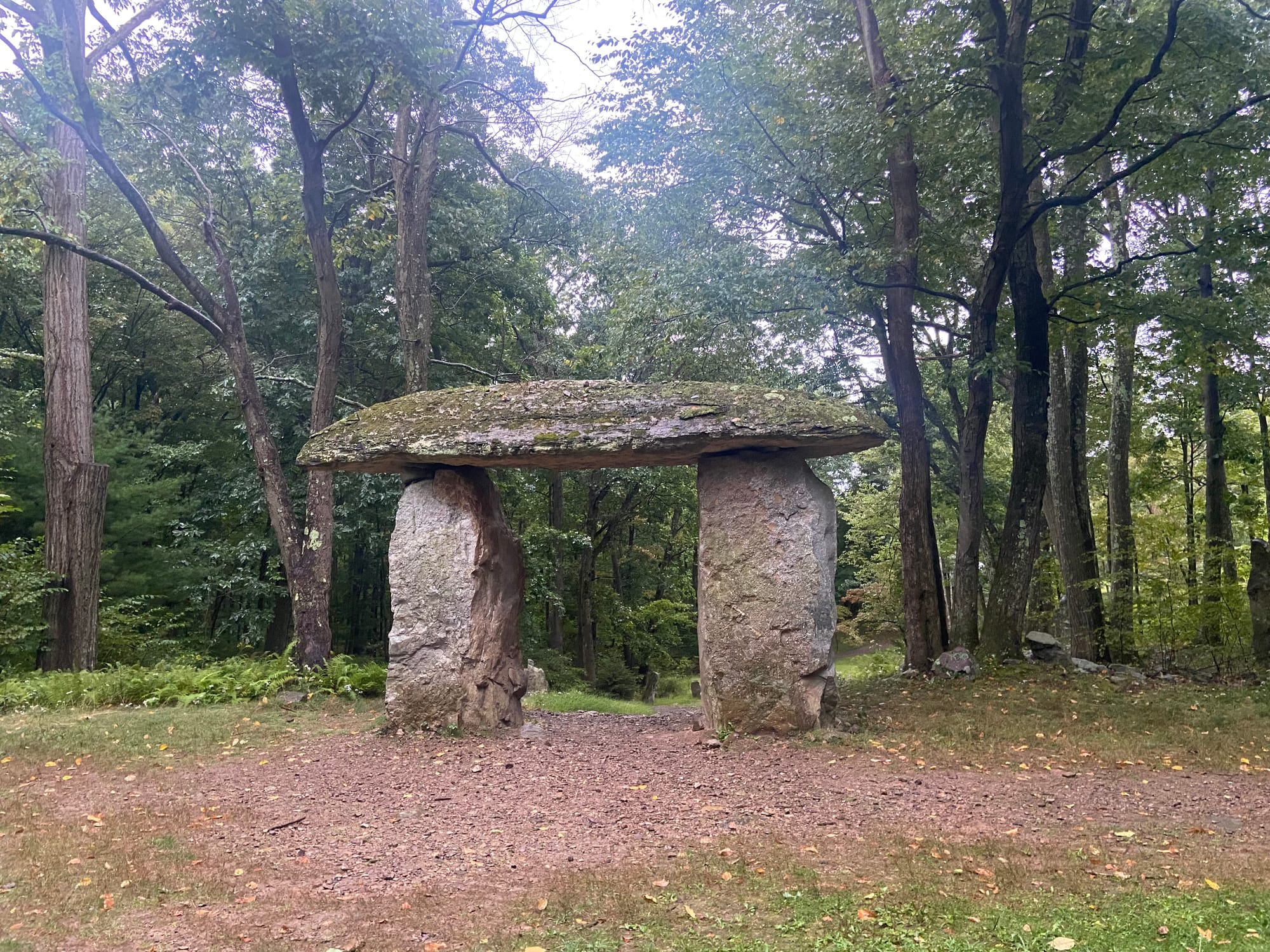 A sunrise observance was held Saturday morning at Columcille Megalith Park to mark the Autumnal Equinox. Nestled in the woods
