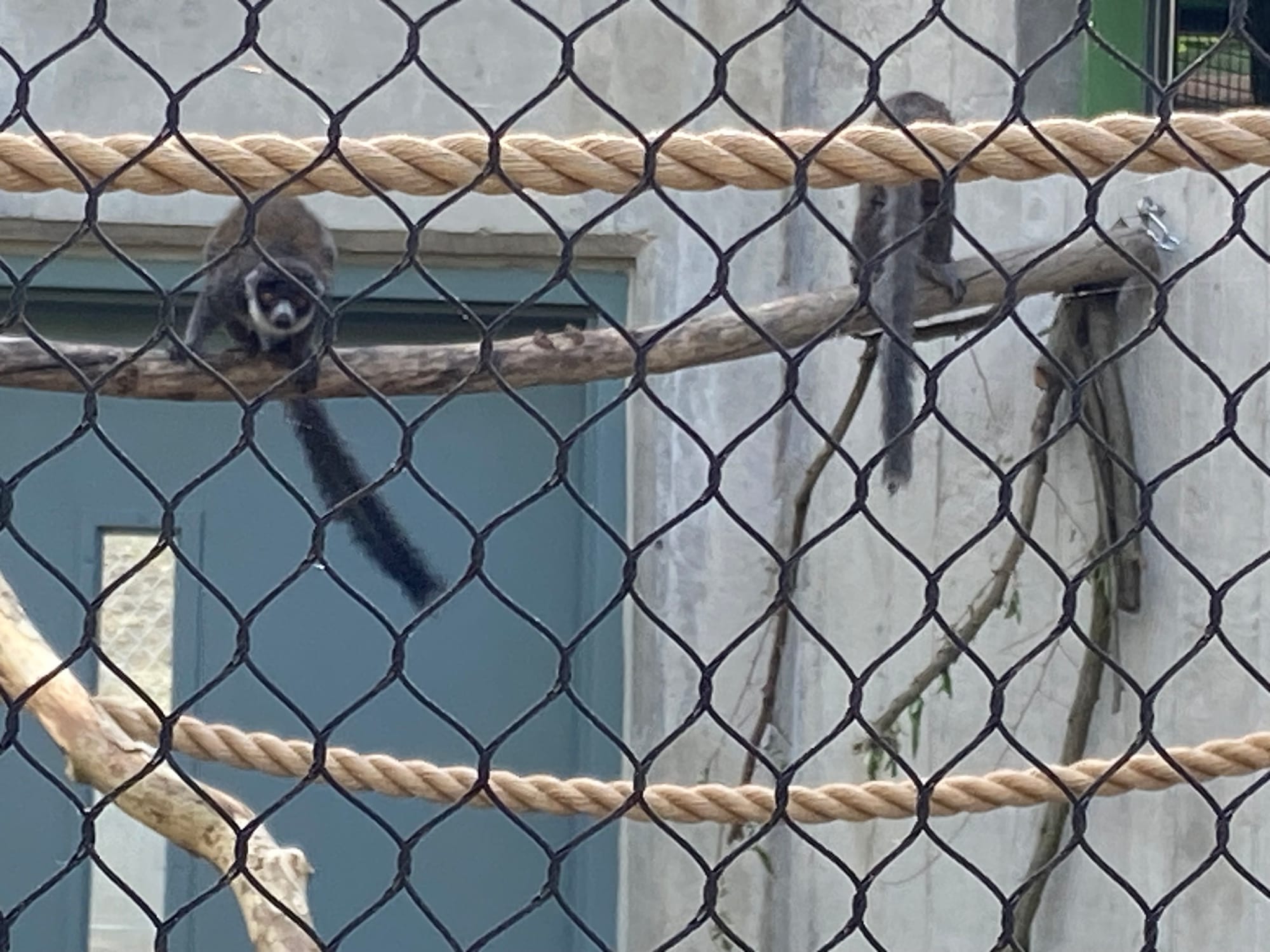 Officials gathered at Lehigh Valley Zoo, 5150 Game Preserve Road in Schnecksville, Thursday for a ribbon cutting at the zoo's