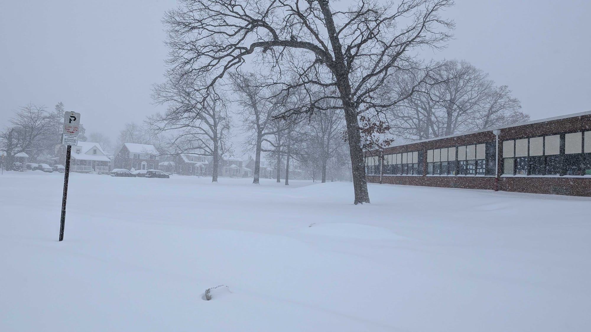 Heavy snow blankets the area around the Sonia Sotomayor Dual Language Immersion Academy in Allentown's Midway Manor community