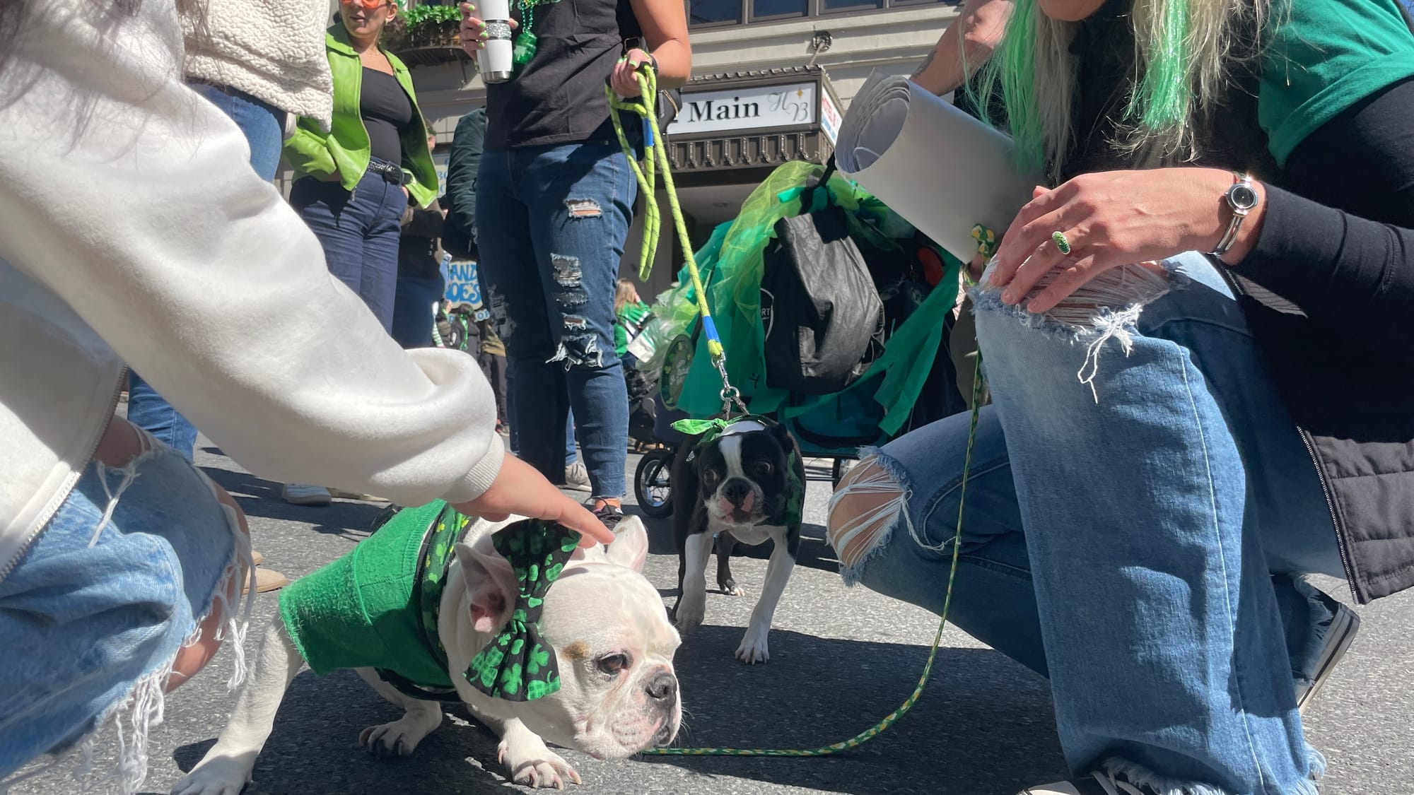 The Parade of Shamrocks held its first showing in five years on Saturday, March 16, 2024.