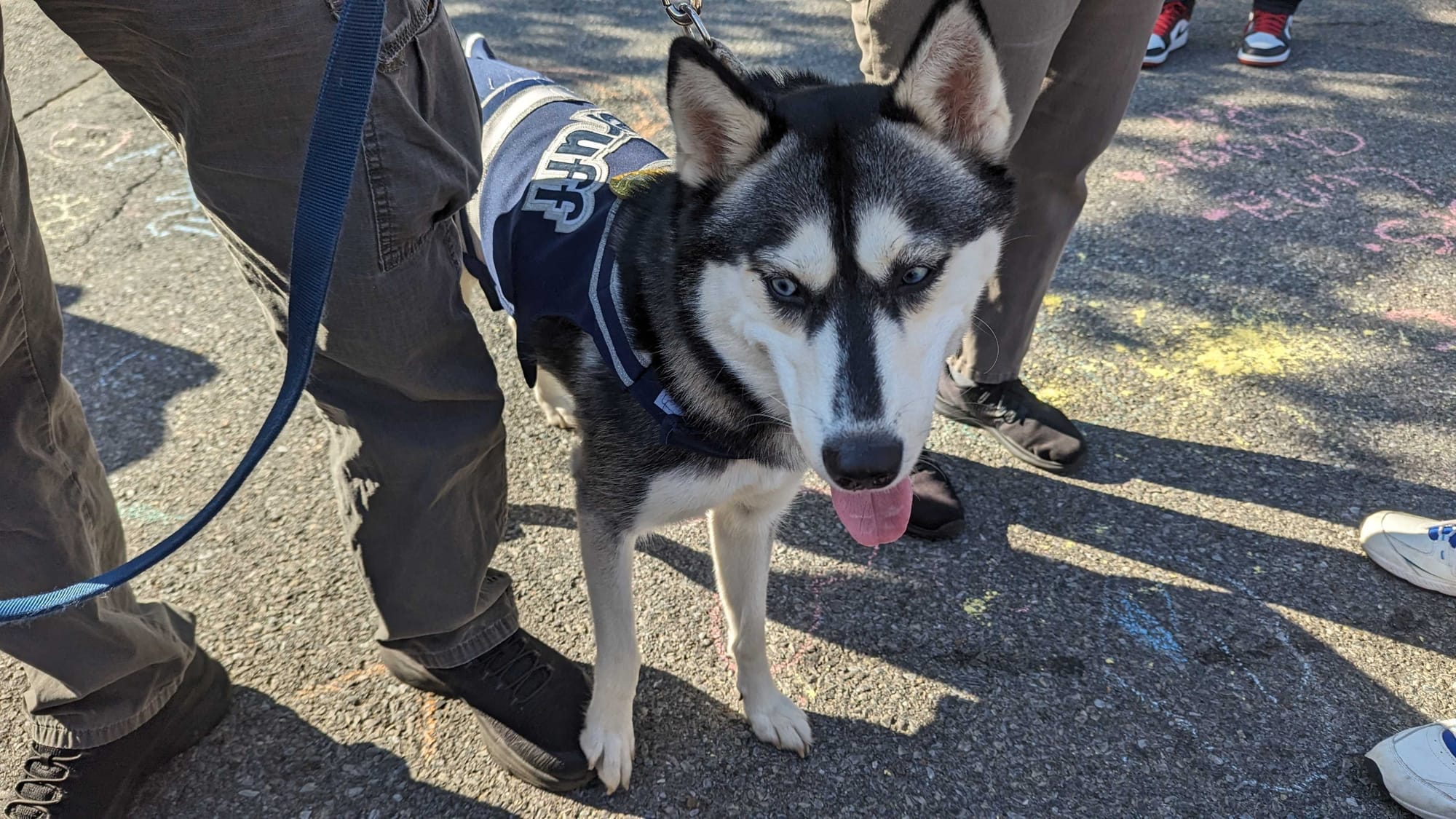 Dieruff mascot Kiska VI at National Night Out at Cedar Beach Park.