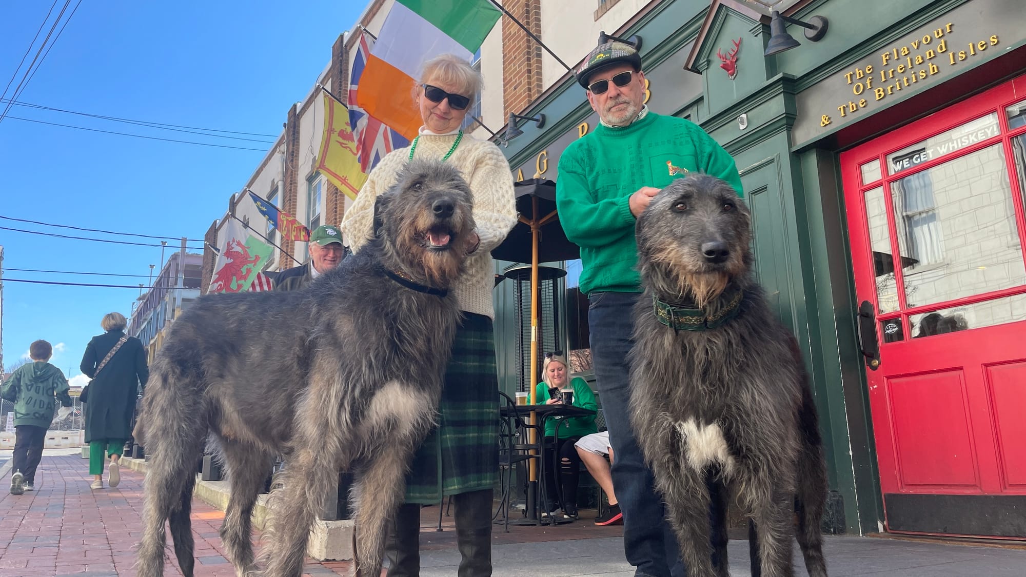 Besty Daly, of Bucks County (left), handles award-winning Irish Wolfhound, Nasch. Joe Roland, of Sinking Spring, Berks County