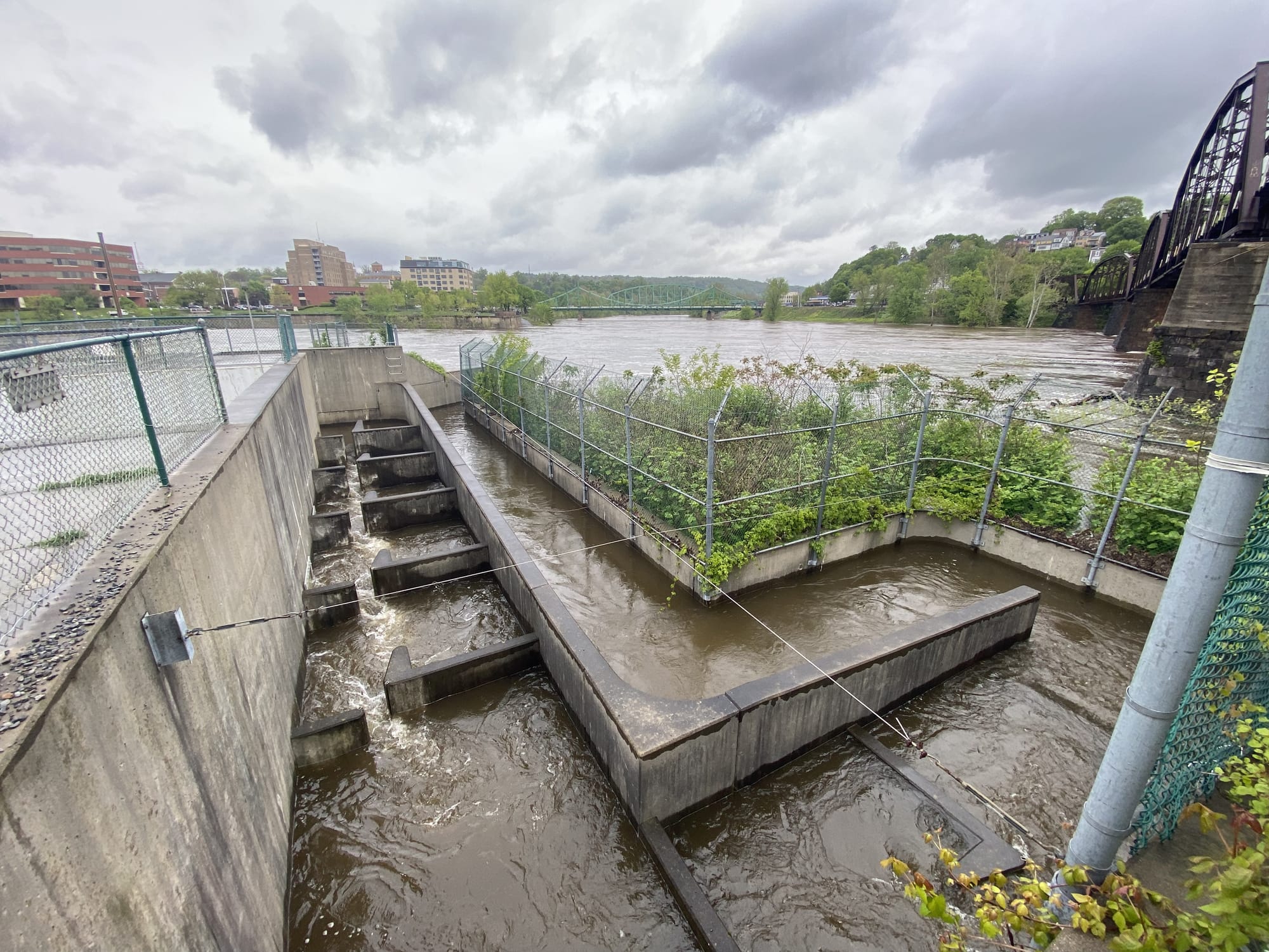 The shad ladder, connected to Easton Dam at Delaware Canal State Park, has fallen into disrepair.