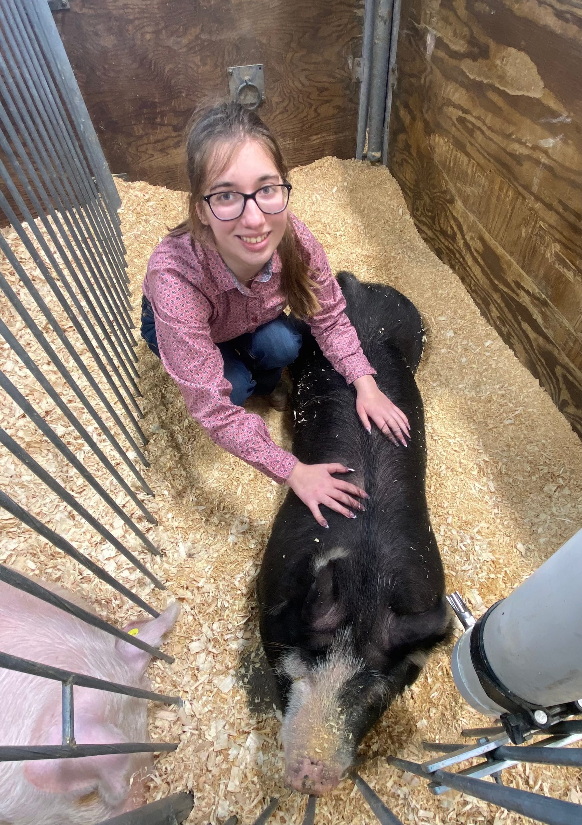 Kamryn Fink, of Germansville, won 7th in swine with her pig, Thunder, and 6th in sheep with her lamb, Trainwreck, at the PA F